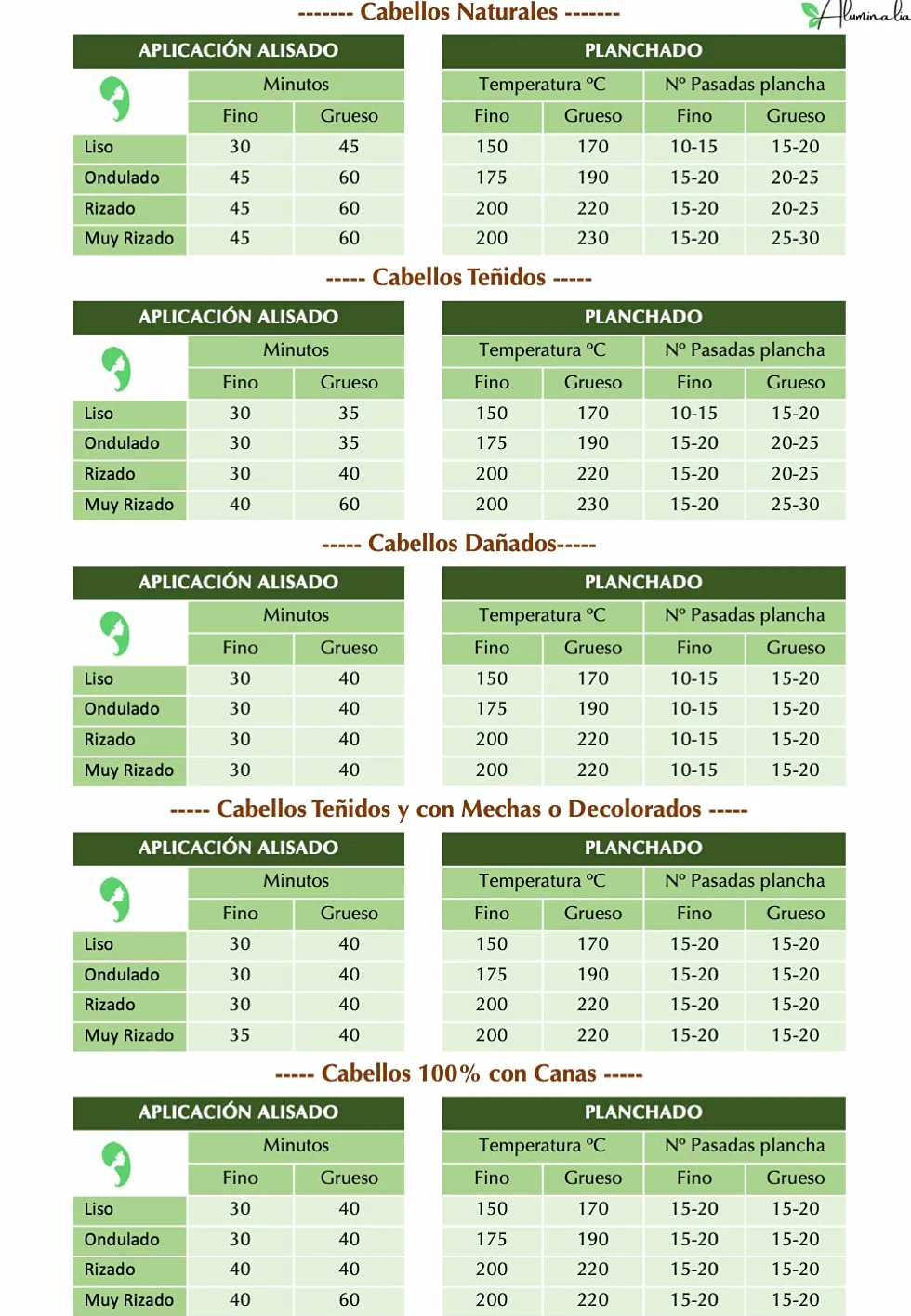 Kit Alisado Orgánico Vegano Profesional 2 en 1 Champú Limpiador y Alisado Sin Formol Sin Sulfatos 200 ml