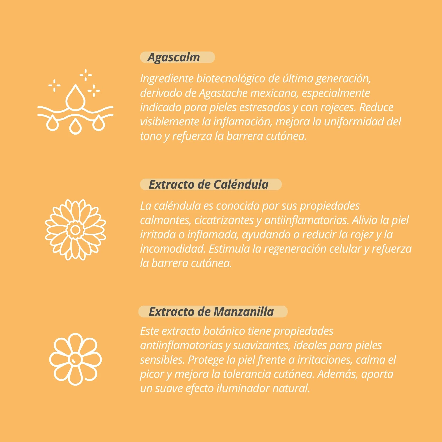 Decolores Crema Facial Natural Calm 50 ml 3 unidades - Pieles Sensibles o Reactivas - Hidrata, Calma y Reduce Rojeces - Con Prebióticos, Probióticos y Ácido Hialurónico - Vegano