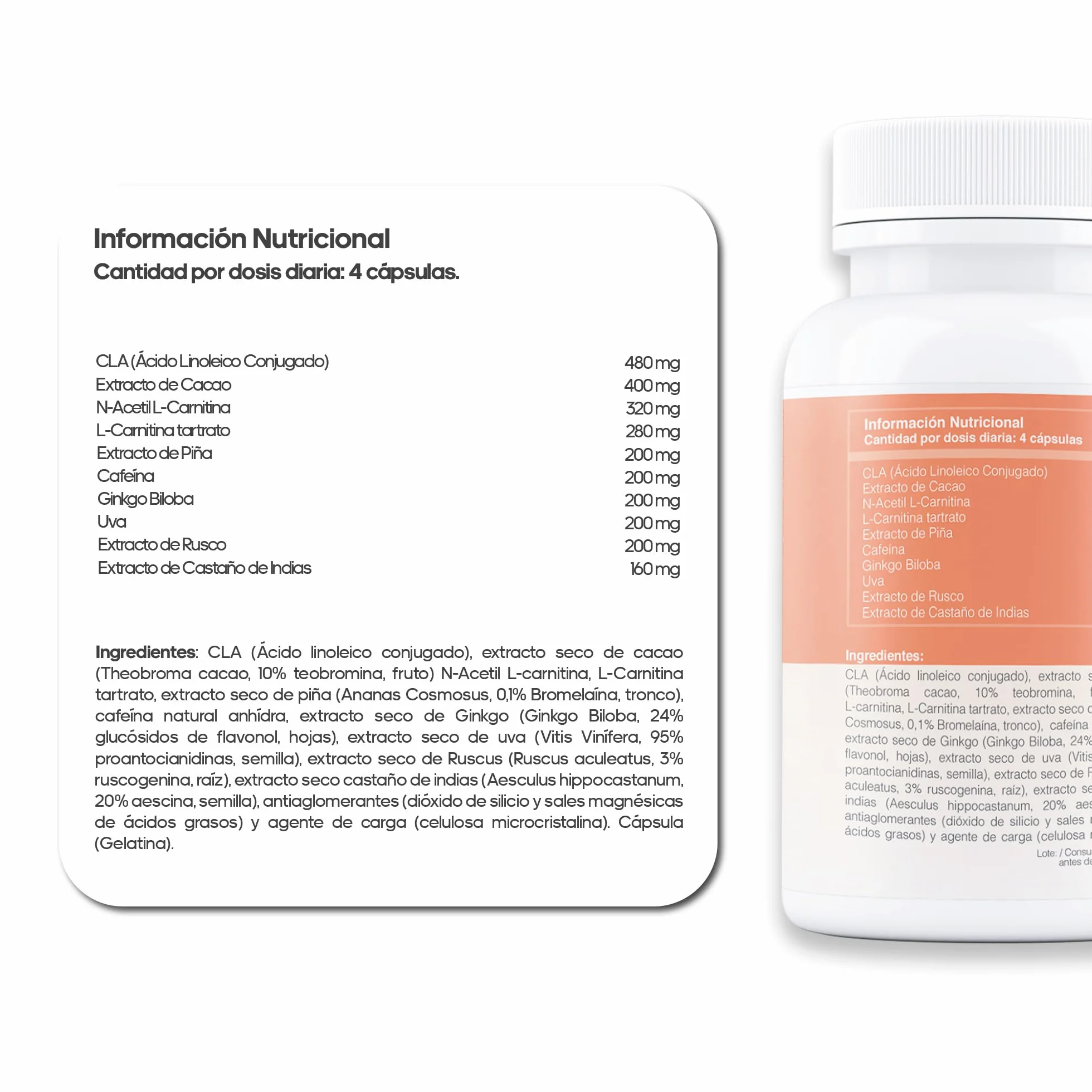 Cápsulas anticelulíticas CLA L-Carnitina Ginkgo Biloba 100U tonificantes reafirmantes