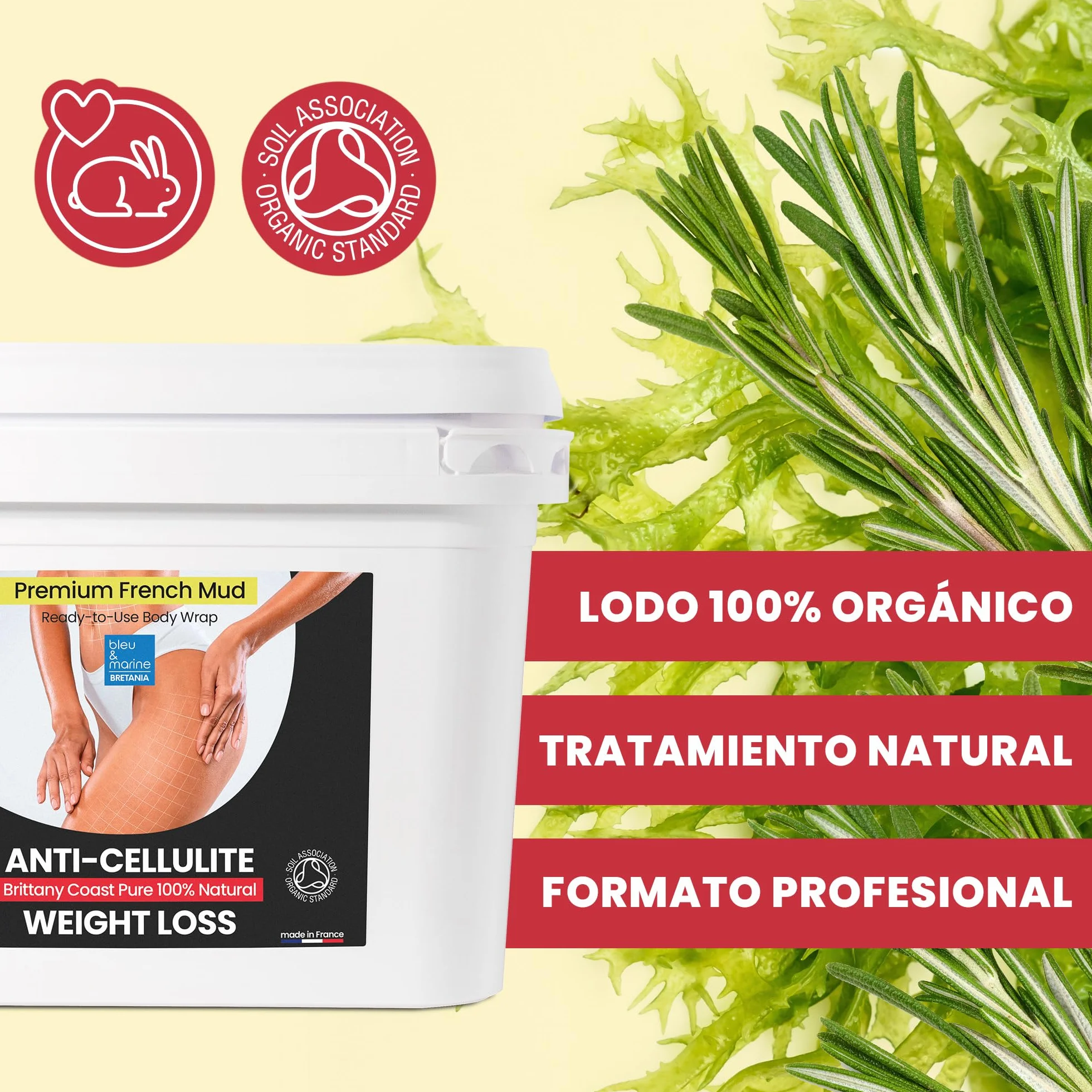 Barro de Algas Anticelulitico: Combate Celulitis y Flacidez Corporal. Efecto Reafirmante y Resultados Visibles. Fango Profesional SPA Tratamiento de Choque - Ready To Use - 6000 g 6 kg