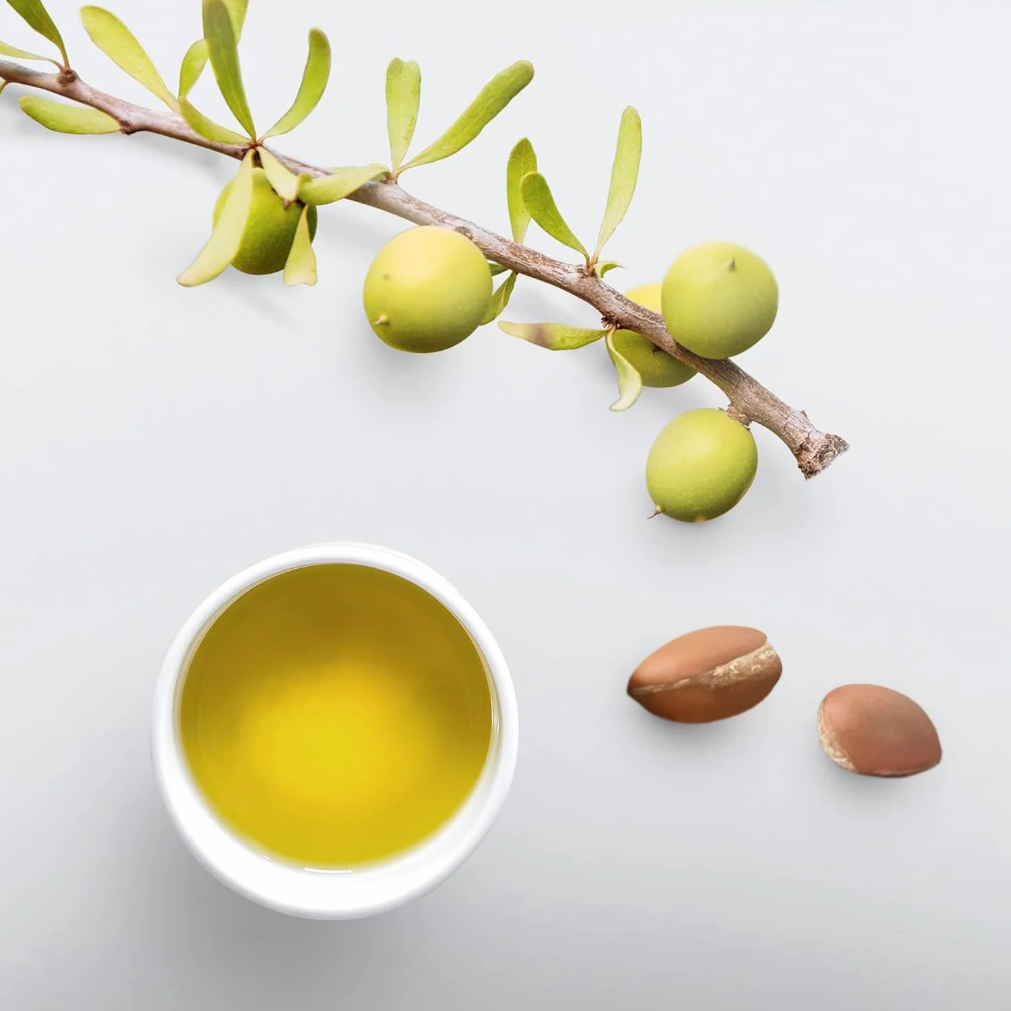 Eco Styler Gel Argan Oil 235 ml