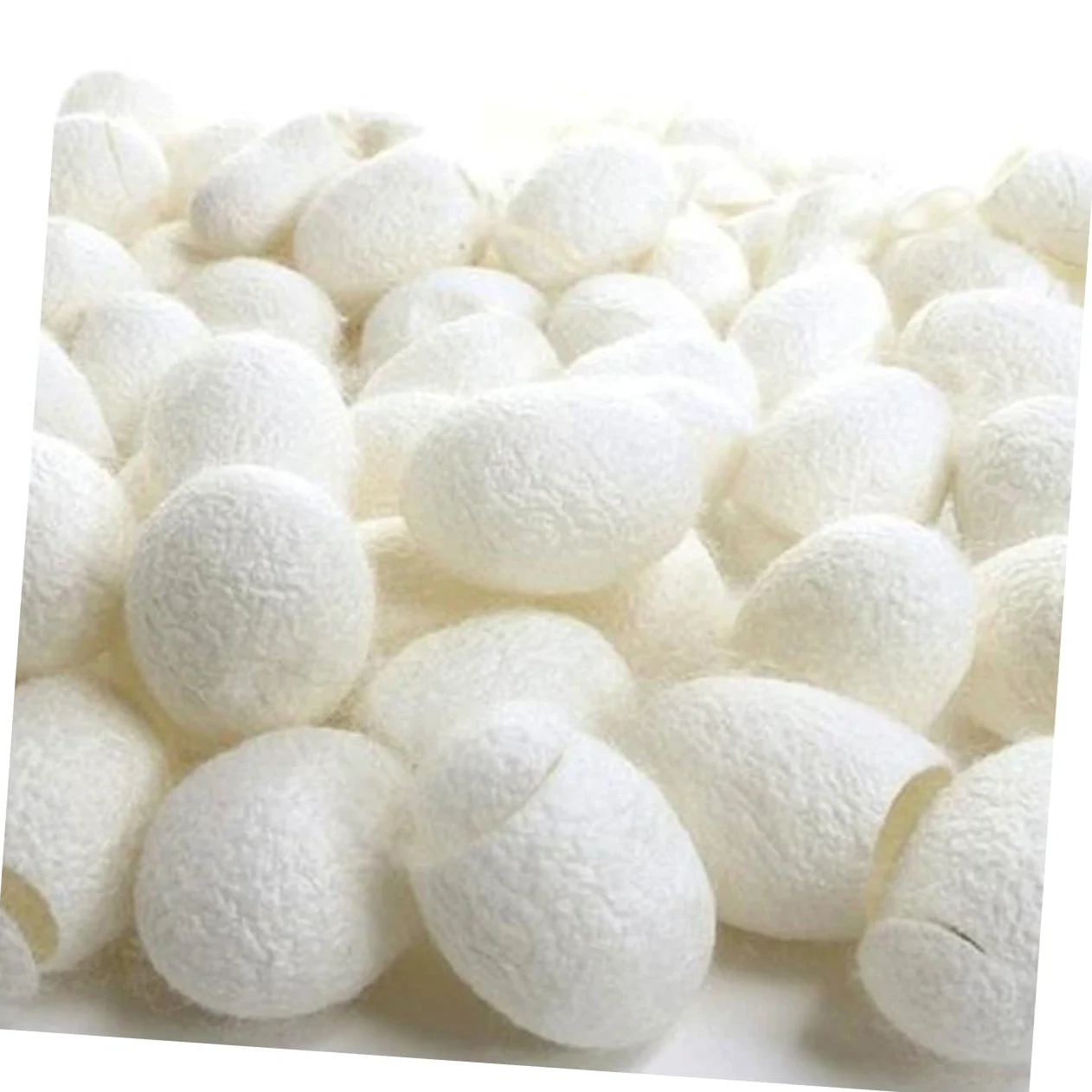 Beavorty Limpiador Facial 600 Piezas Capullos De Seda Natural De Maquillaje Exfoliante Natural De Gusanos De Seda Frotar Los Dedos Con Gusanos De Seda Faciales A7 Constituir