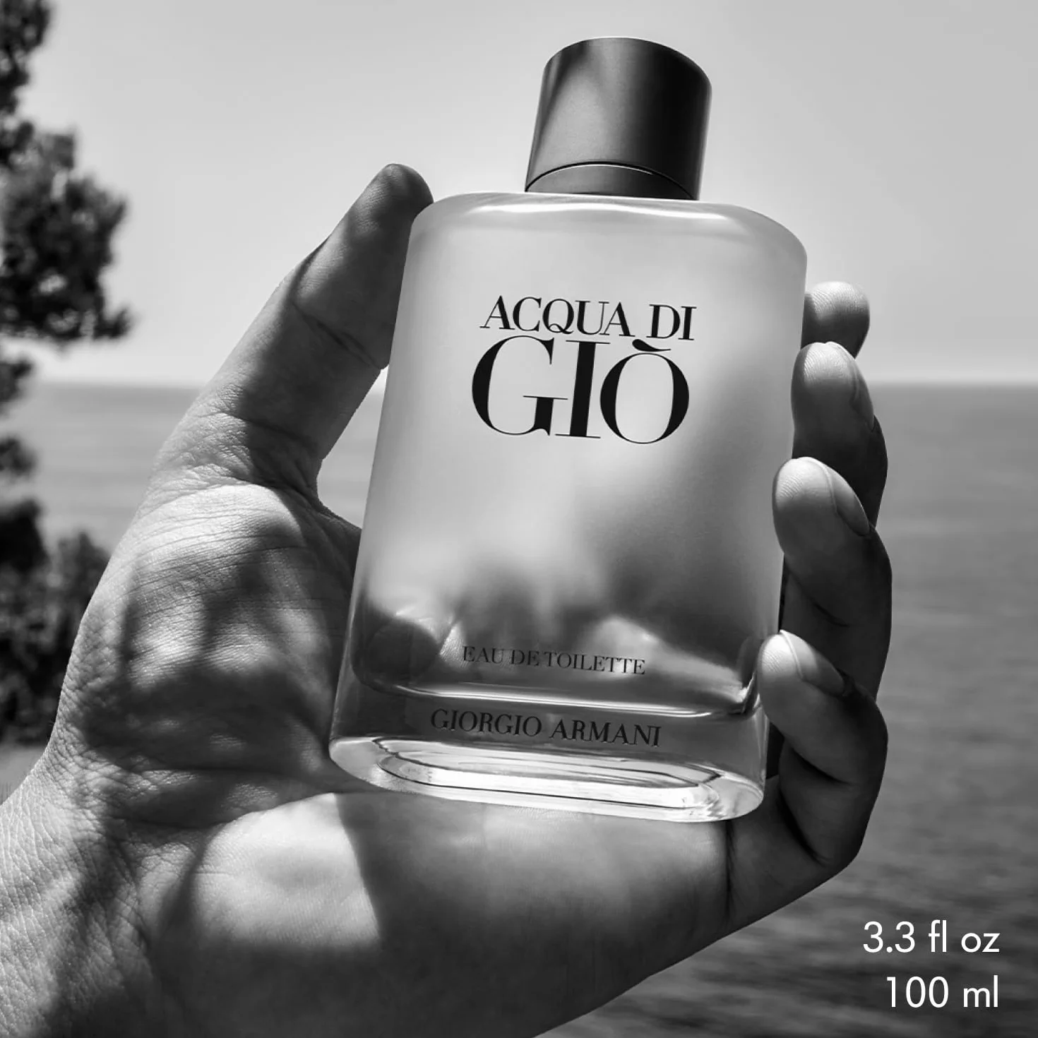 Armani Acqua Di Gio Homme Eau de Toilette Vaporizador 100 ml