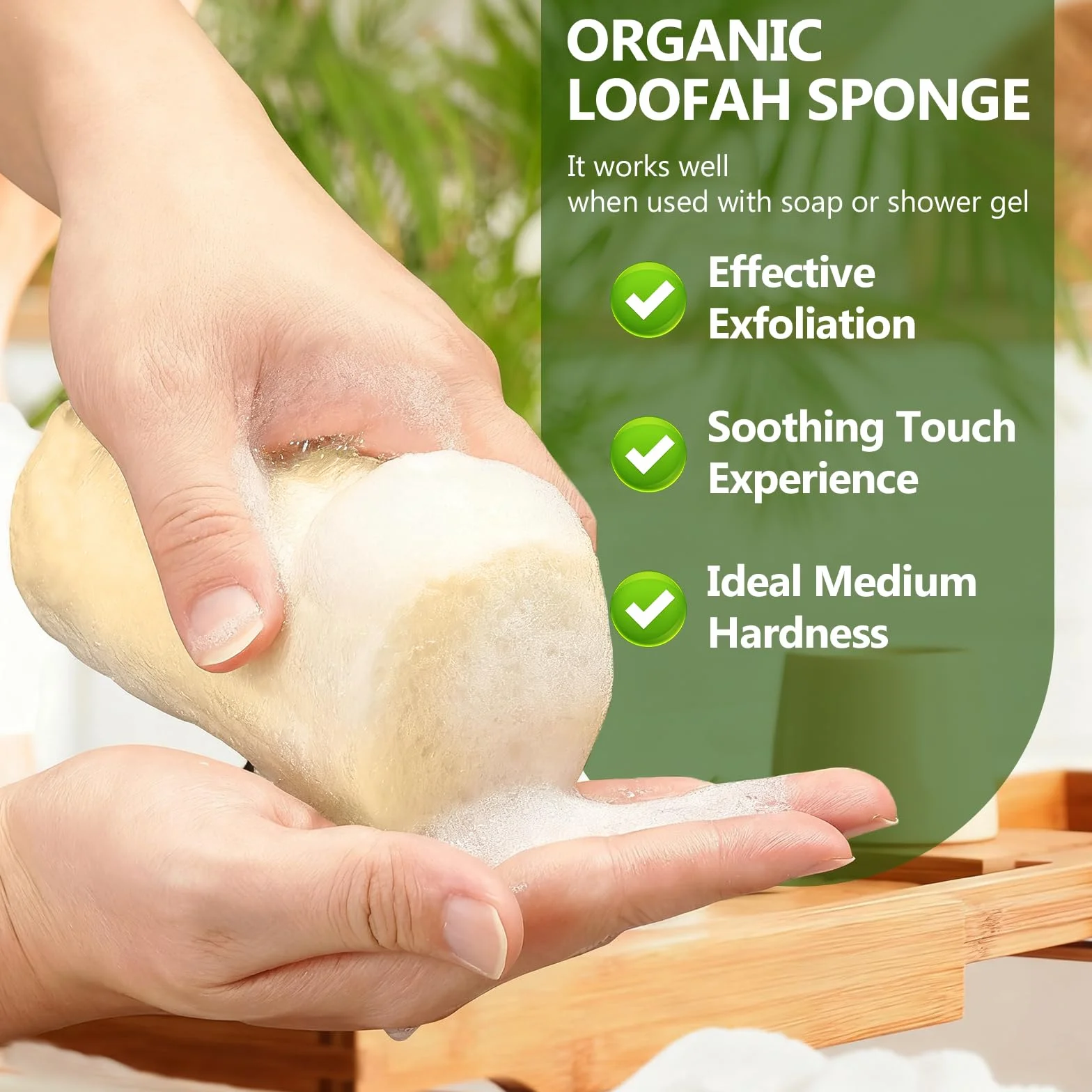 Esponja Natural de Luffa 10cm, Exfoliante Estropajo Ecologico, 6 Piezas para Baño y Ducha