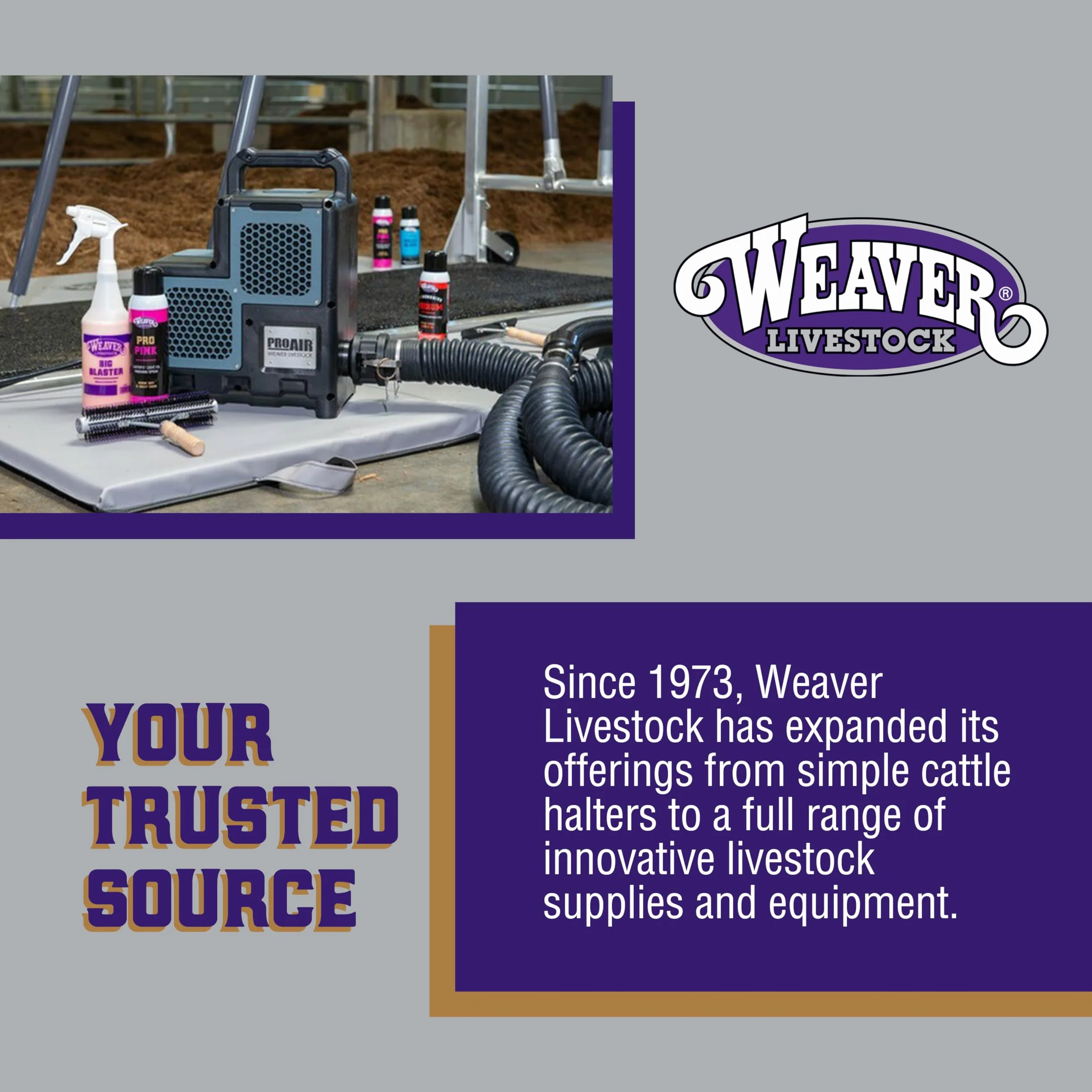 Weaver Leather Livestock Winner's Brand Pro Hair100 Shampoo