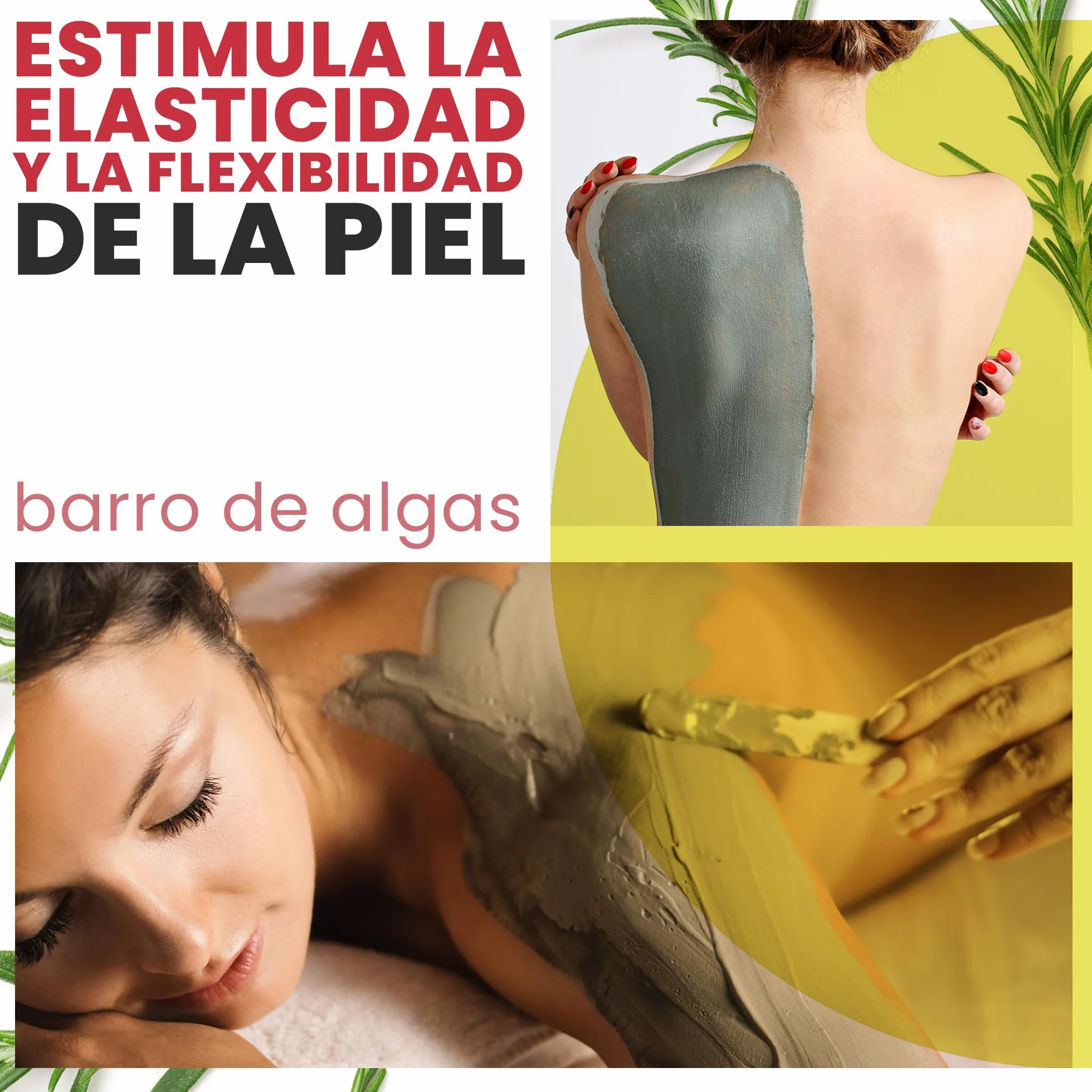 Barro de Algas Anticelulitico: Combate Celulitis y Flacidez Corporal. Efecto Reafirmante y Resultados Visibles. Fango Profesional SPA Tratamiento de Choque - Ready To Use - 6000 g 6 kg