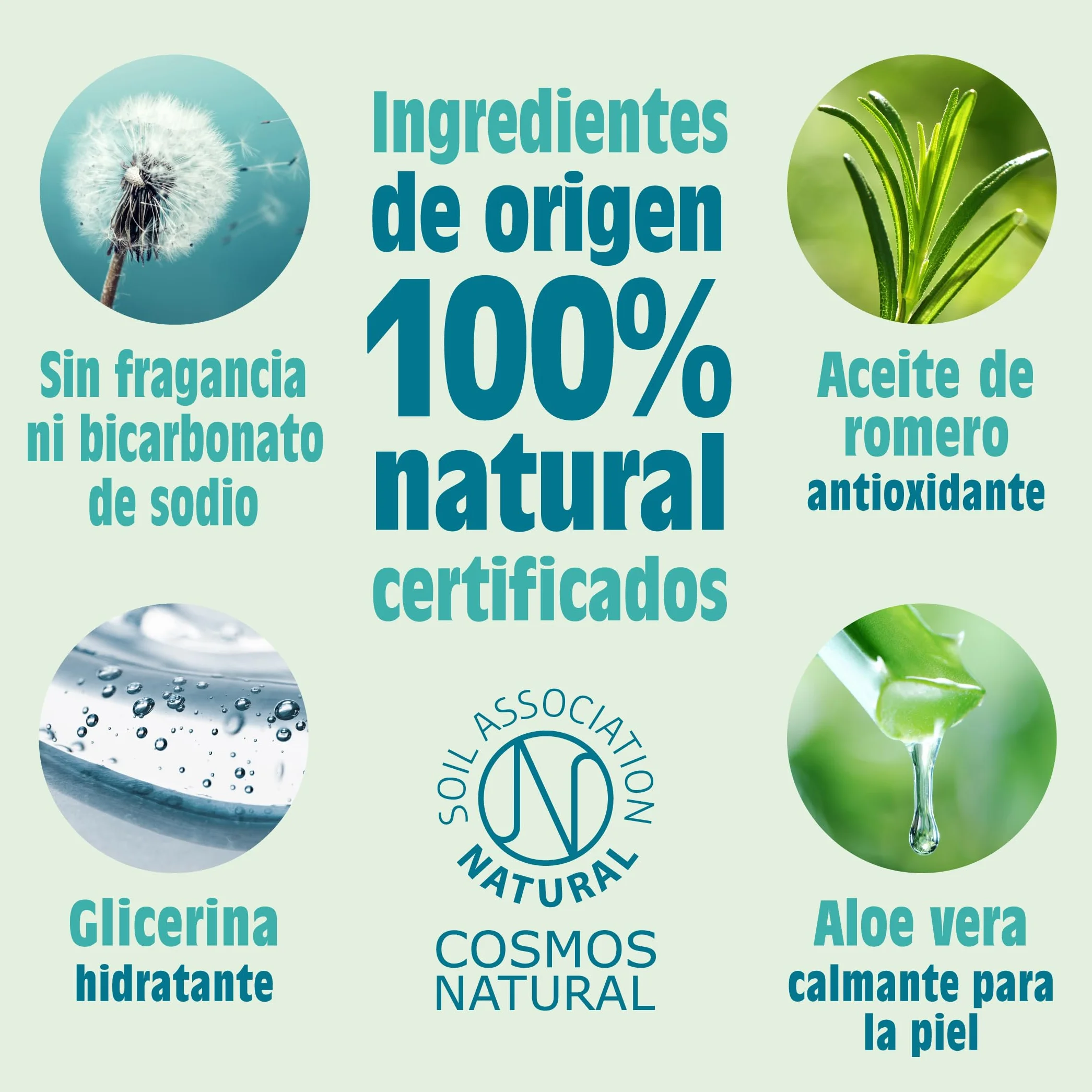 Salt of the Earth Desodorante Natural Roll On Sin Fragancia 75ml Vegano