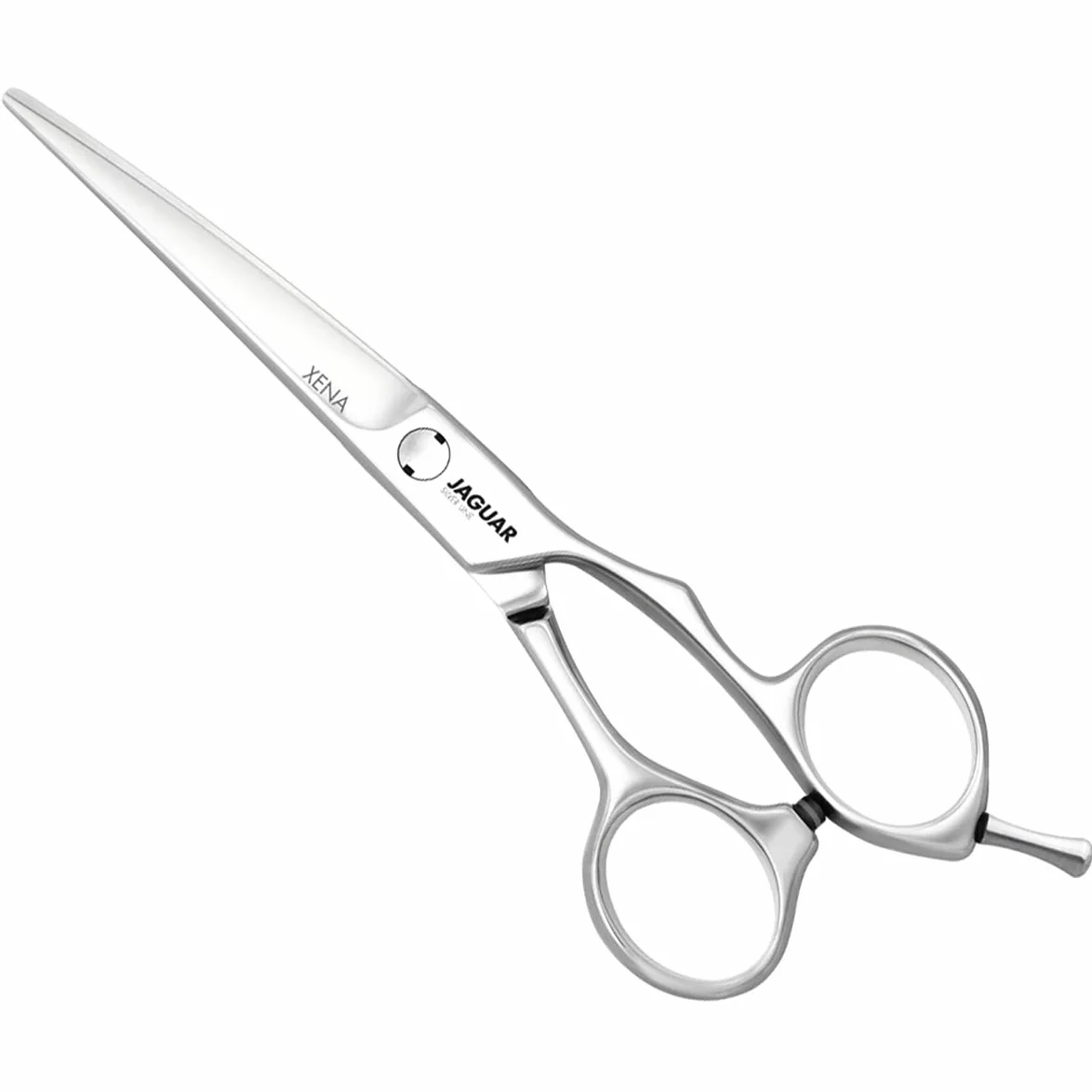 Jaguar - Silver Line - Xena - 6.0"
