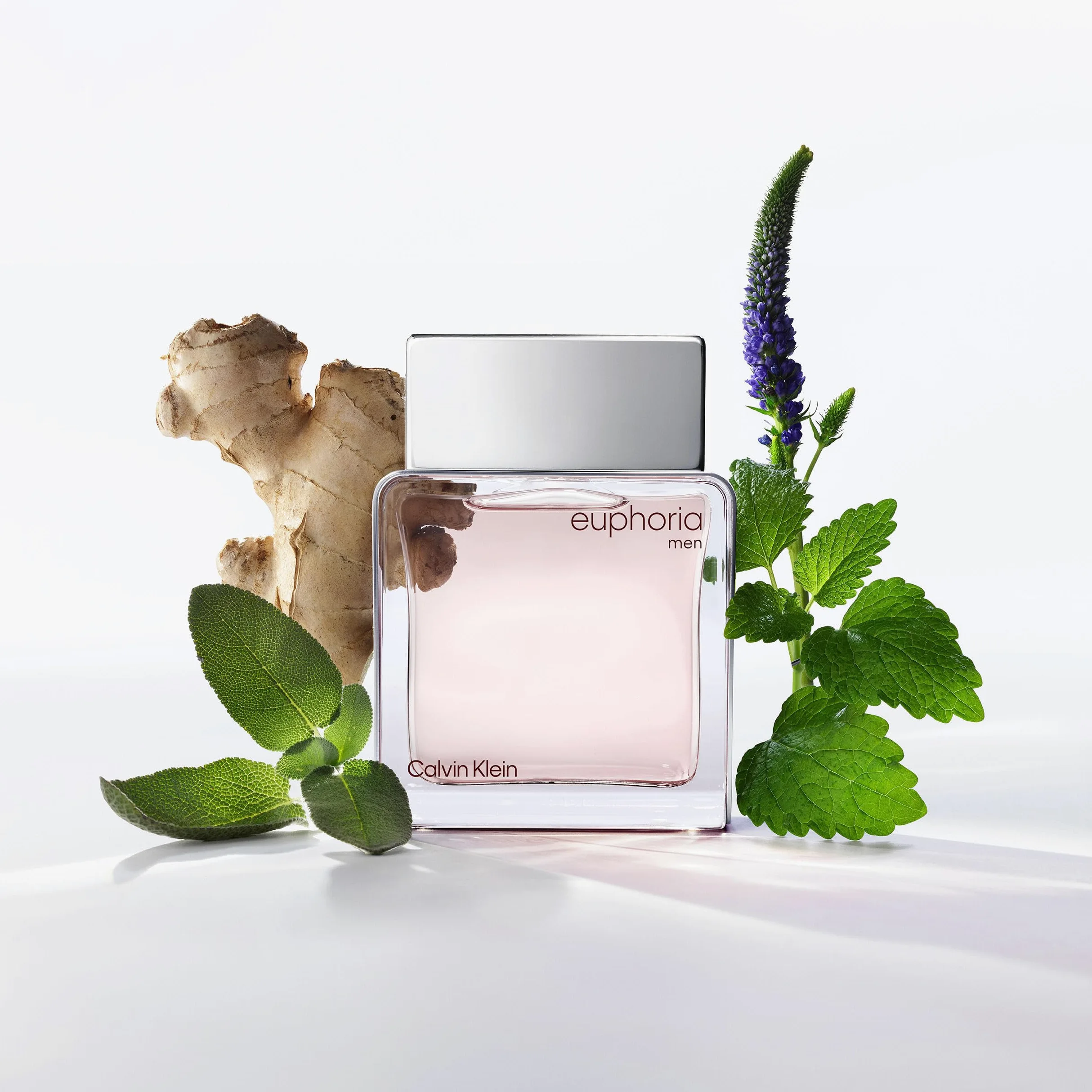 CALVIN KLEIN Euphoria Men Eau de Toilette | Perfume de hombre con notas de jengibre y pimienta | Larga duración | 100ml