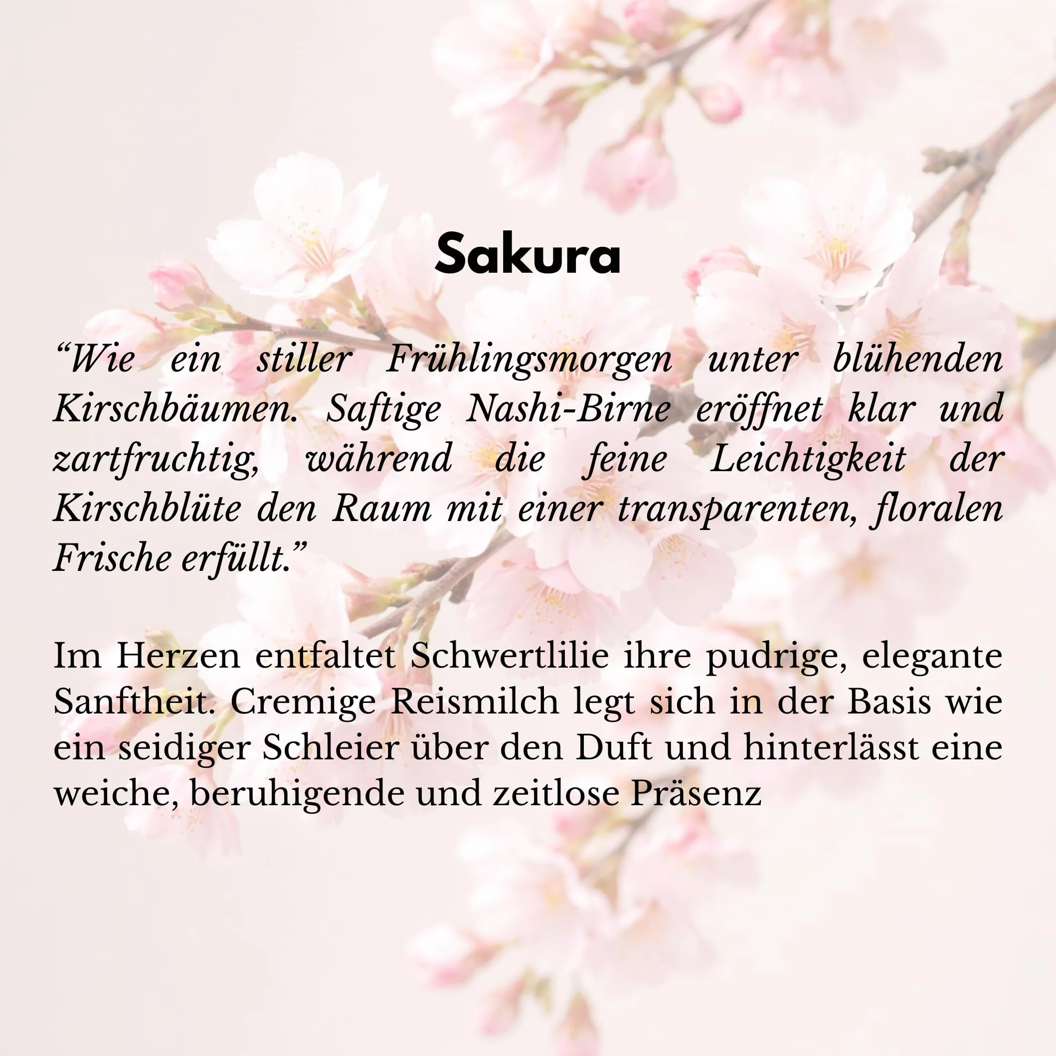BOHORIA Perfume para el cabello Sakura 100 ml aroma leche de arroz flor de cerezo vegano sin siliconas