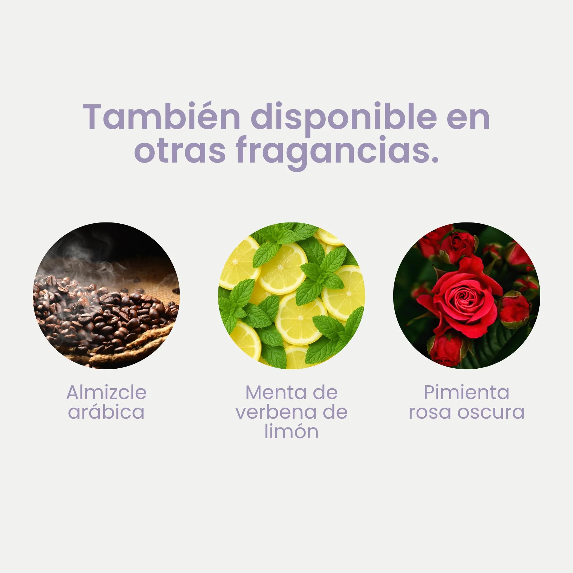 Jean & Len Hand & Body Cleanser Marrakech Garden jabón corporal y de manos vegano 500 ml