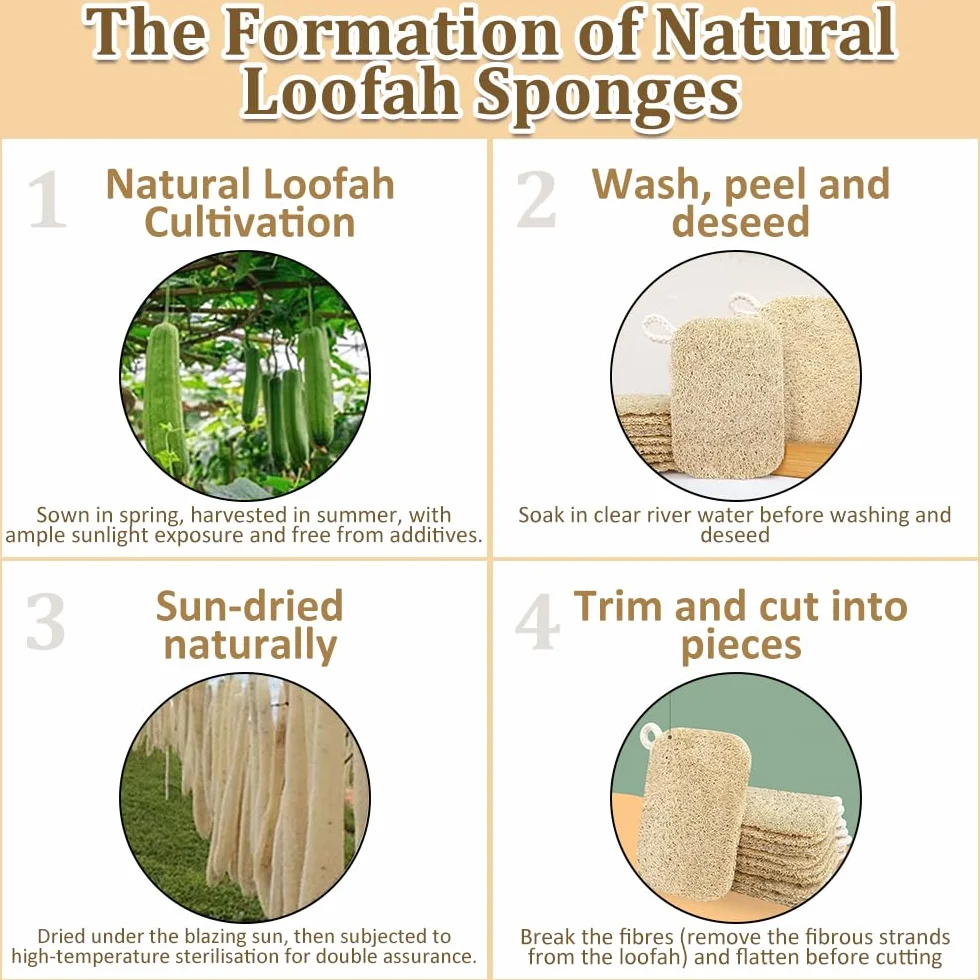 Esponja de lufa natural exfoliante corporal 3 unidades ecológica biodegradable para ducha y cuidado corporal