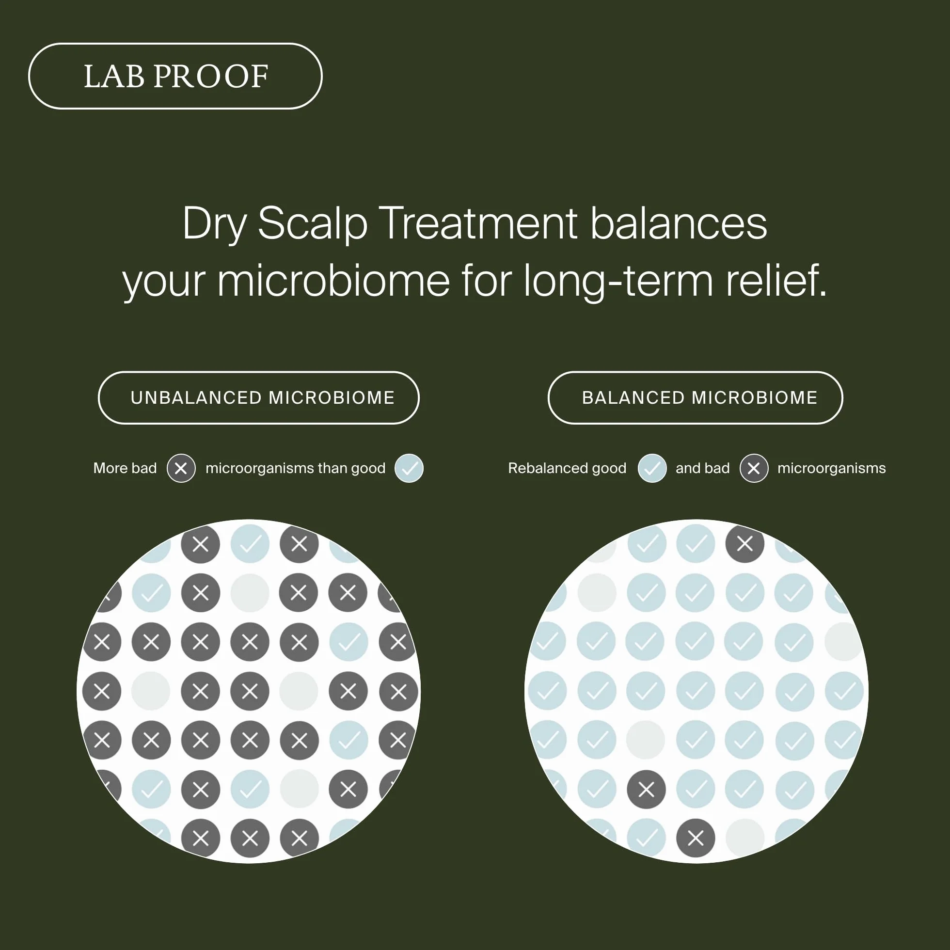 Scalp Care Dry Scalp Treatment
