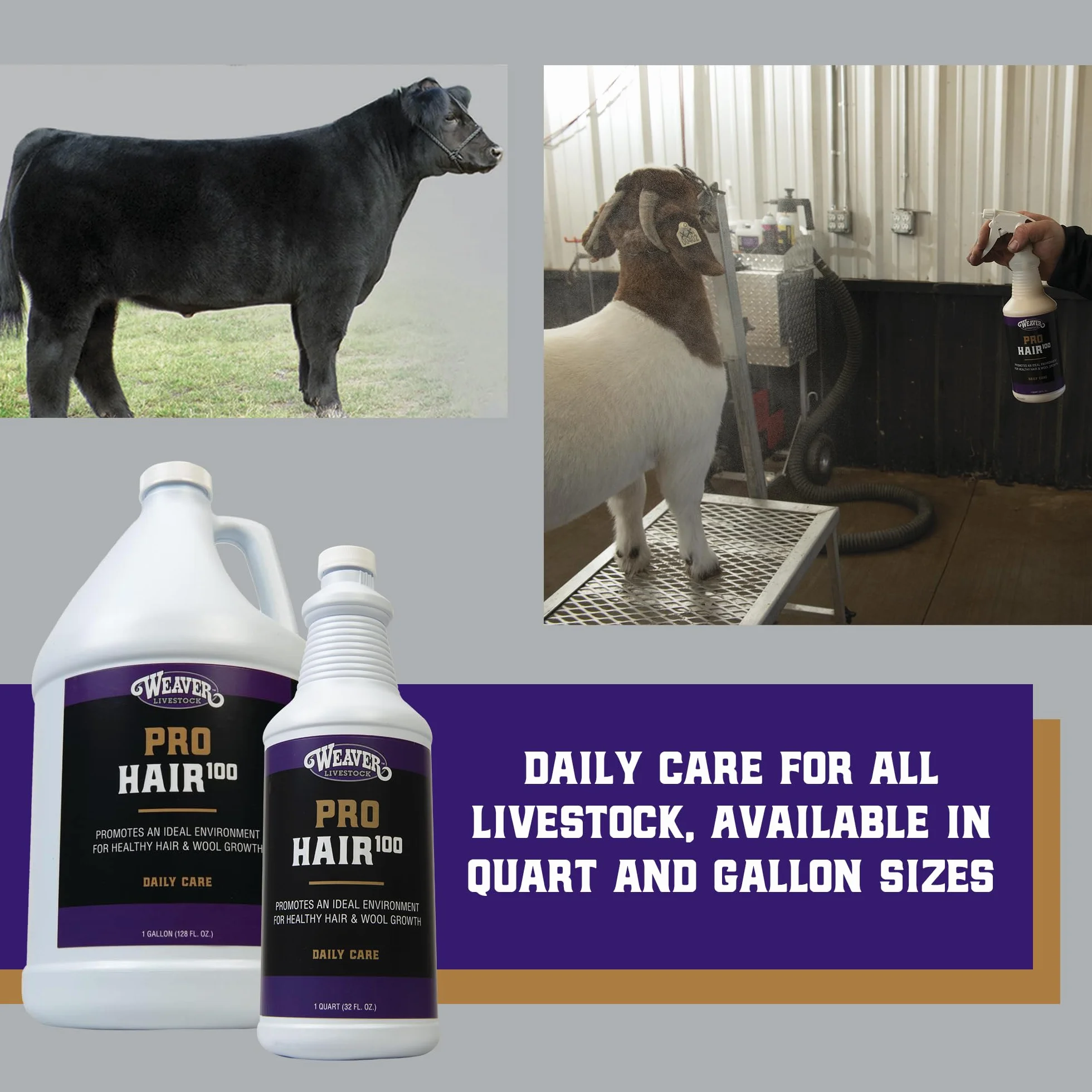 Weaver Leather Livestock Winner's Brand Pro Hair100 Shampoo