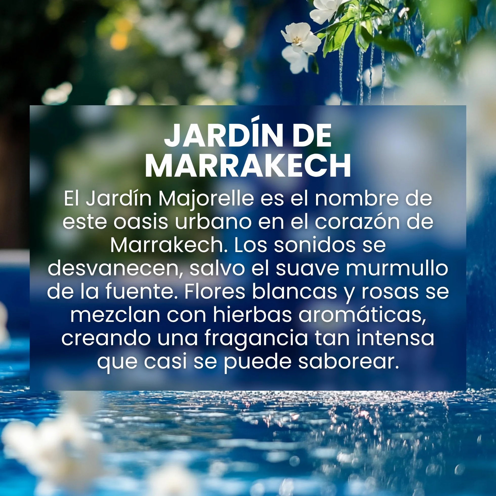 Jean & Len Hand & Body Cleanser Marrakech Garden jabón corporal y de manos vegano 500 ml