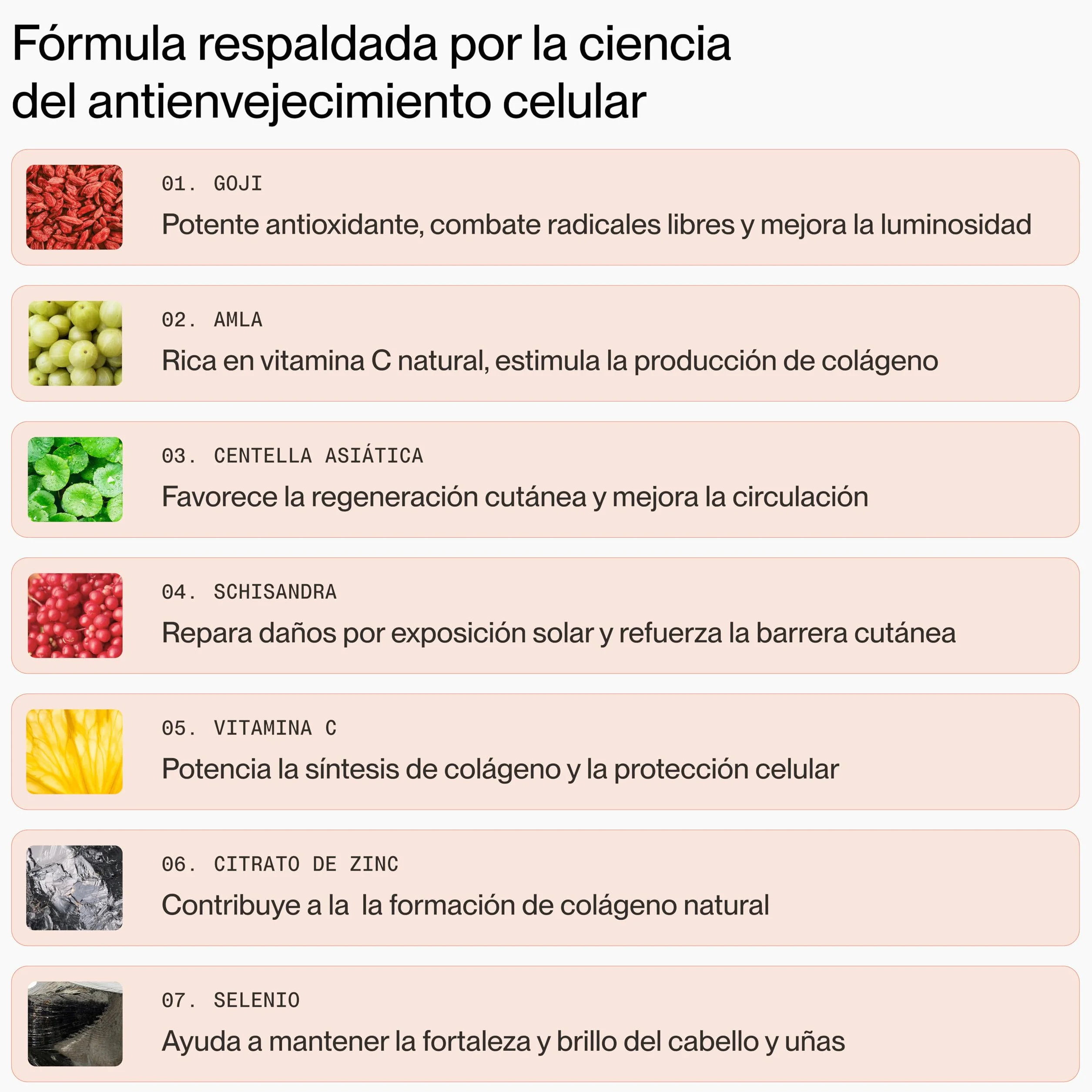 Superlativa Muse Suplemento Antioxidante Vegano 60 Cápsulas con Vitamina C y Adaptógenos