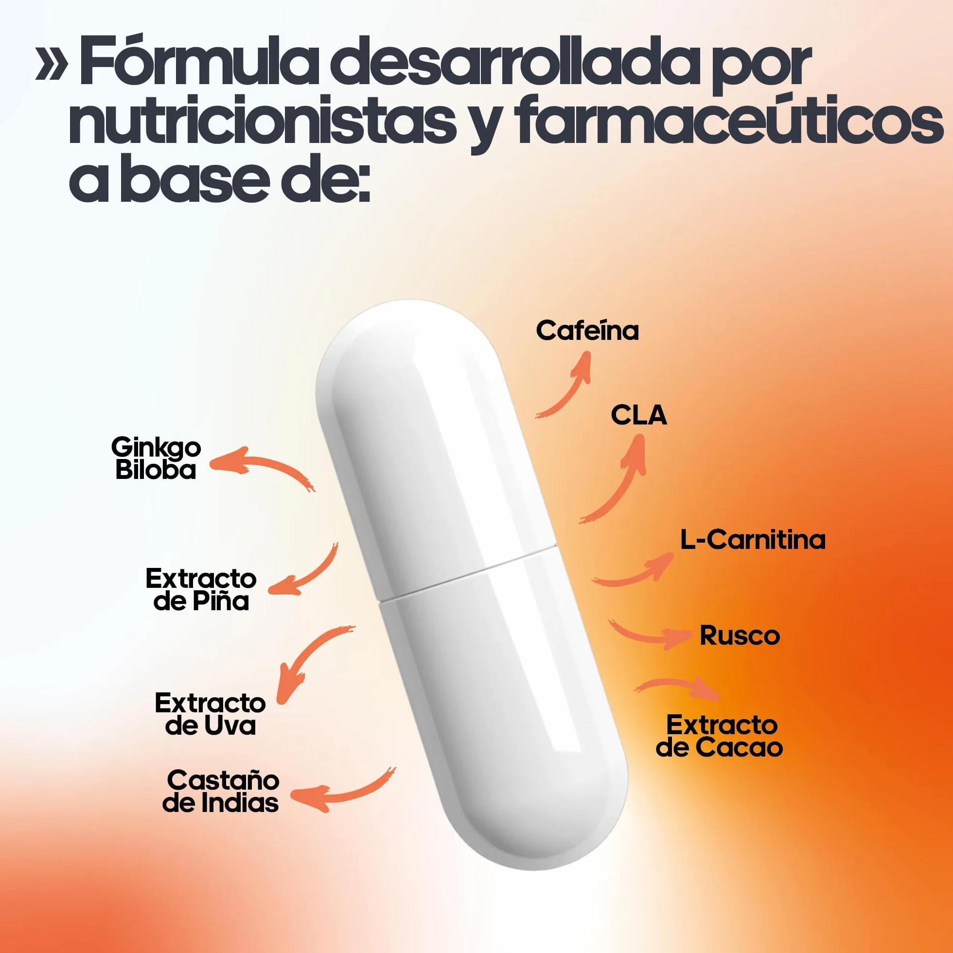 Cápsulas anticelulíticas CLA L-Carnitina Ginkgo Biloba 100U tonificantes reafirmantes