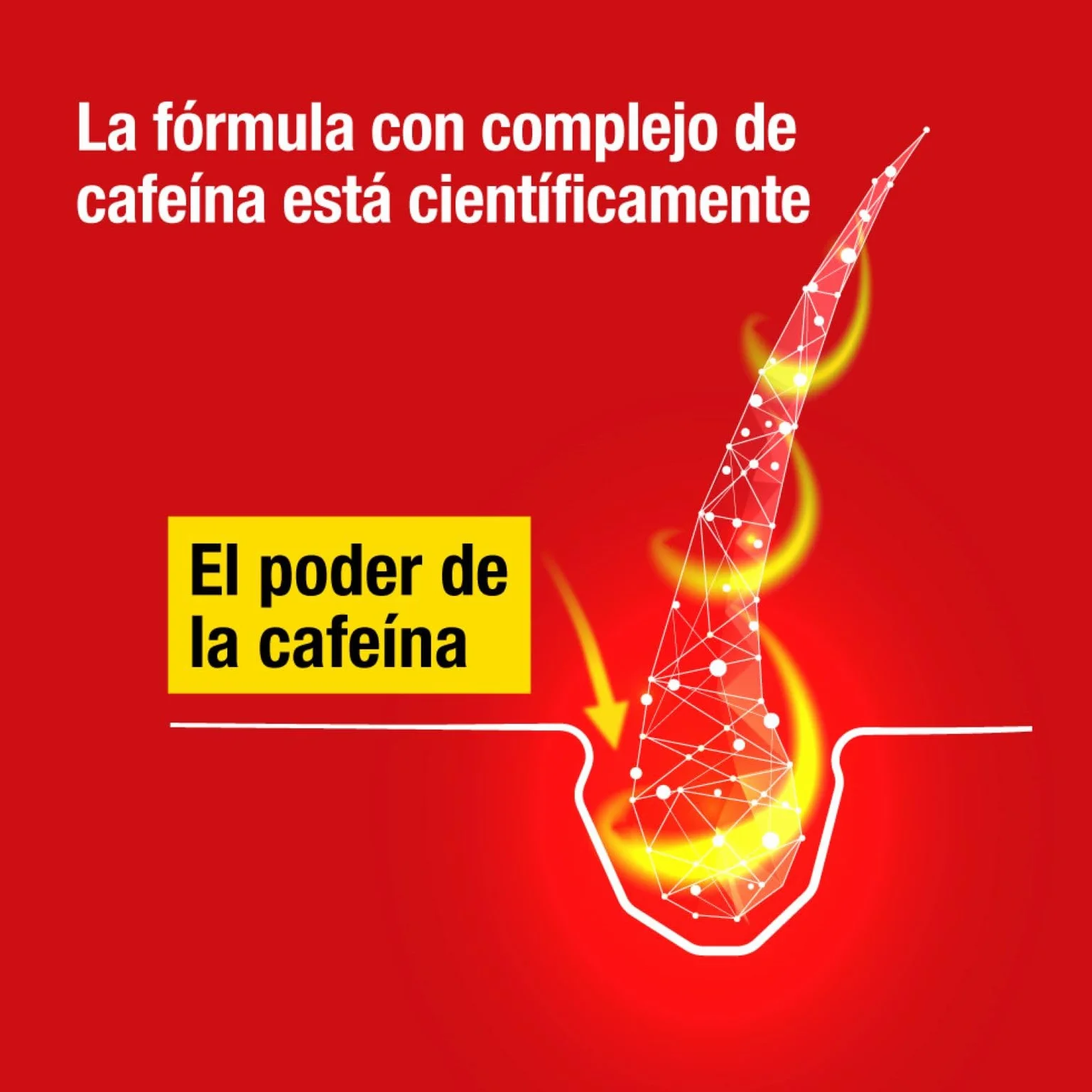 Alpecin Caffeine Liquid 2x 200 ml Locion anticaida cabello hombre Tratamiento caida pelo