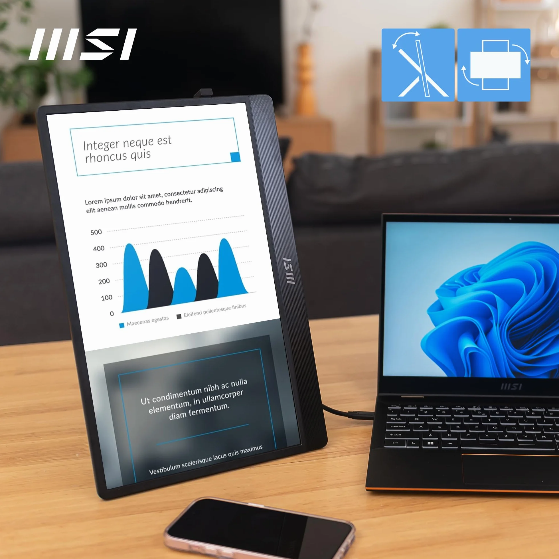 MSI Pro MP161 E2U Monitor portátil Full HD 15,6" Panel IPS 1920x1080 60Hz Mini-HDMI 2.0b USB Type-C