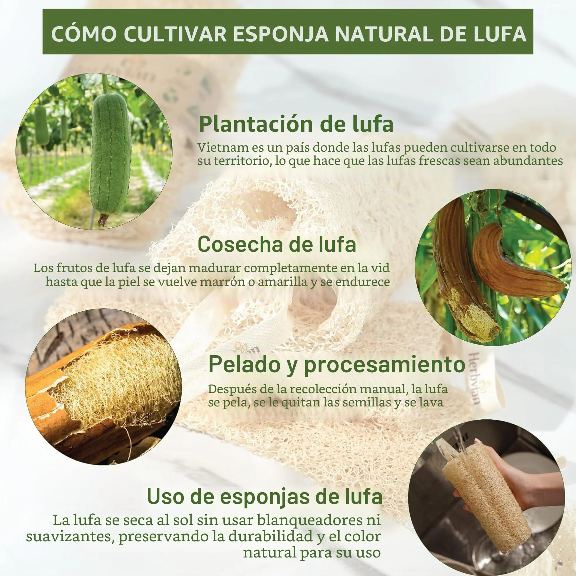 2 PCS Estropajo Natural Luffa Esponja Exfoliante Cuerpo Ducha