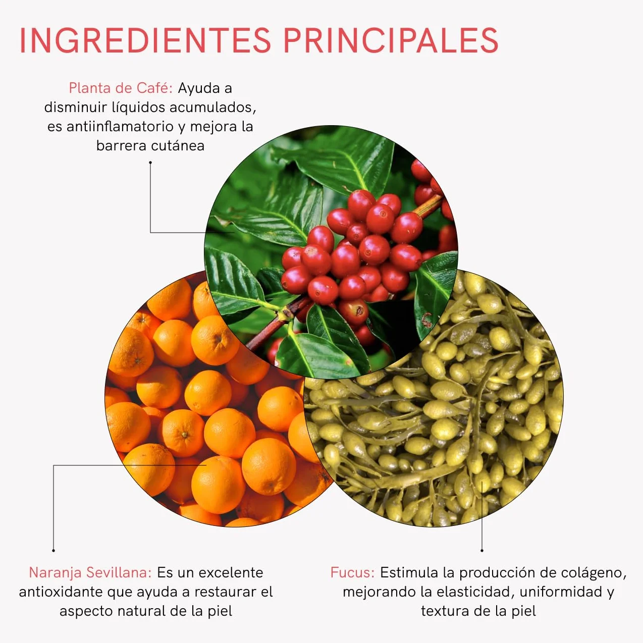 Parches Adelgazantes Anticelulitis con Cafeína, 28 Unidades, Reduce Grasa Localizada