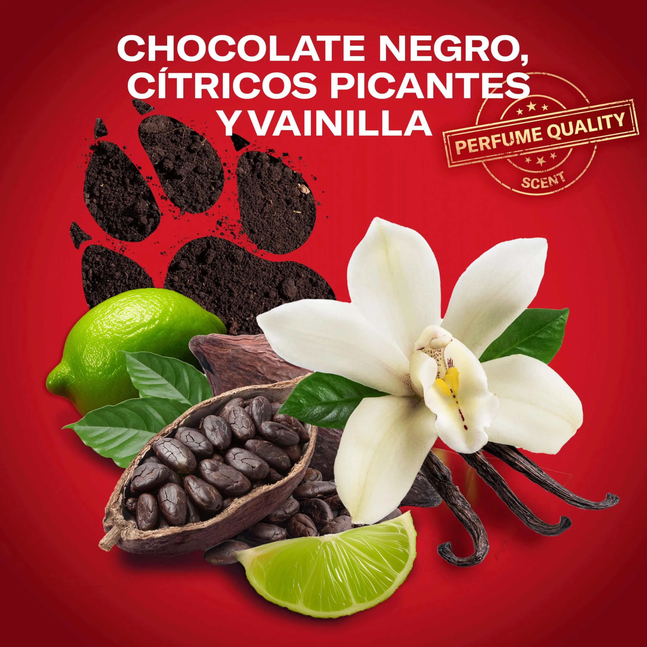 Old Spice Night Panther Desodorante en Barra 4x50ml, Fresco 24 Horas, Protección Contra el Mal Olor