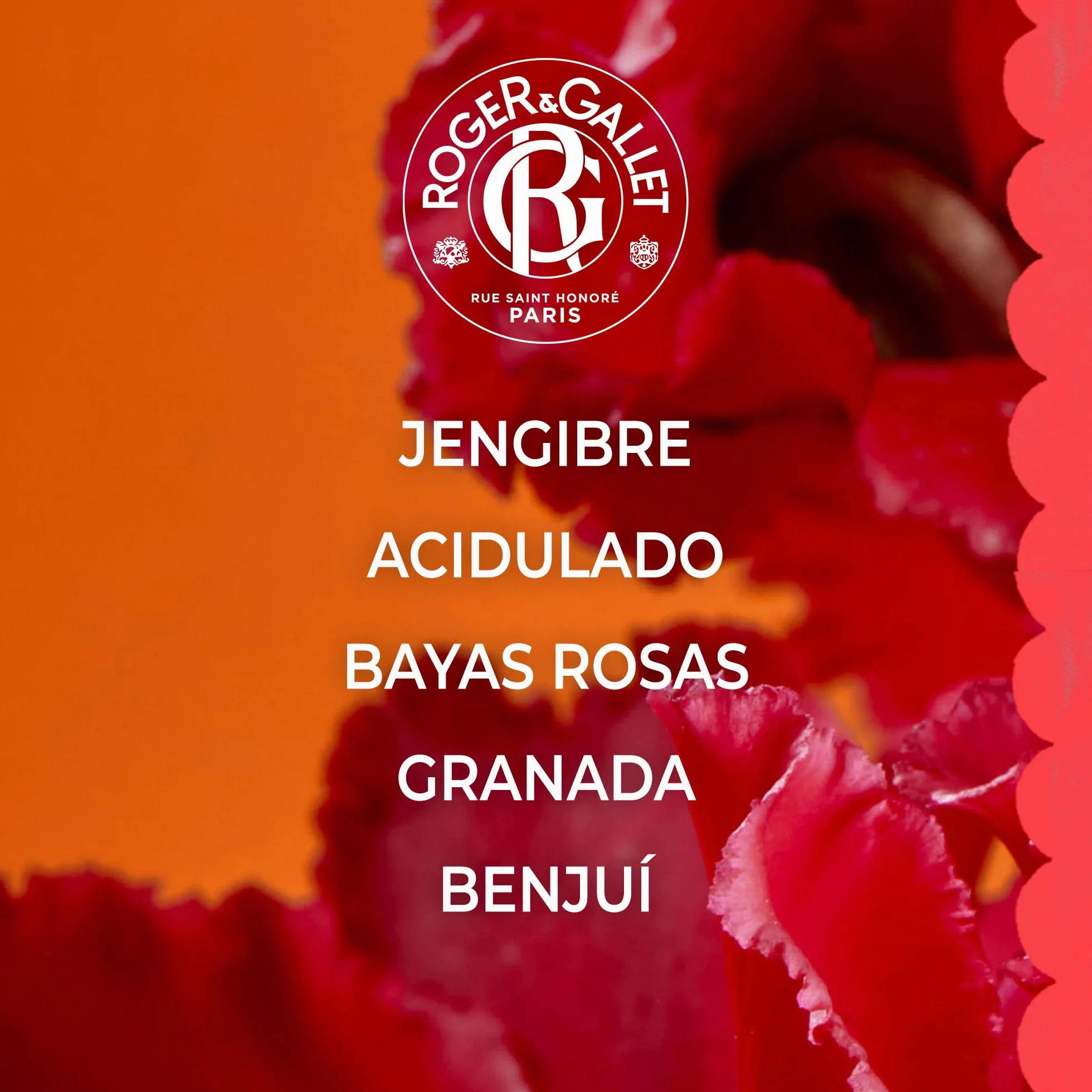 Roger&Gallet Perfume Sólido Bienestar 5g Gingembre Rouge 92% Natural