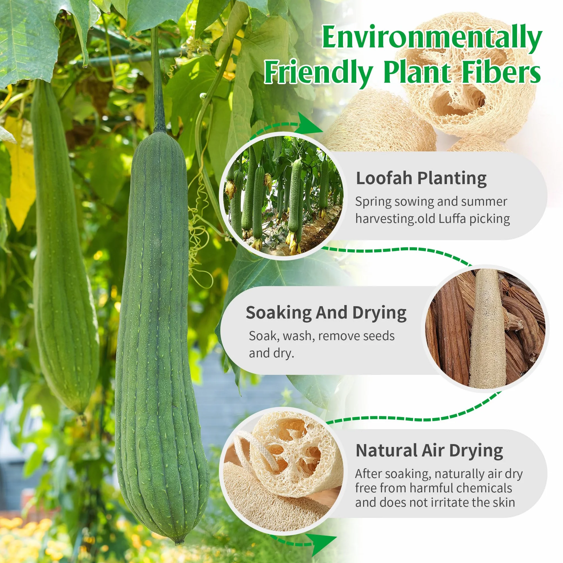 Esponjas de Luffa Naturales 6 PCS, Esponja Exfoliante para Ducha y Cocina