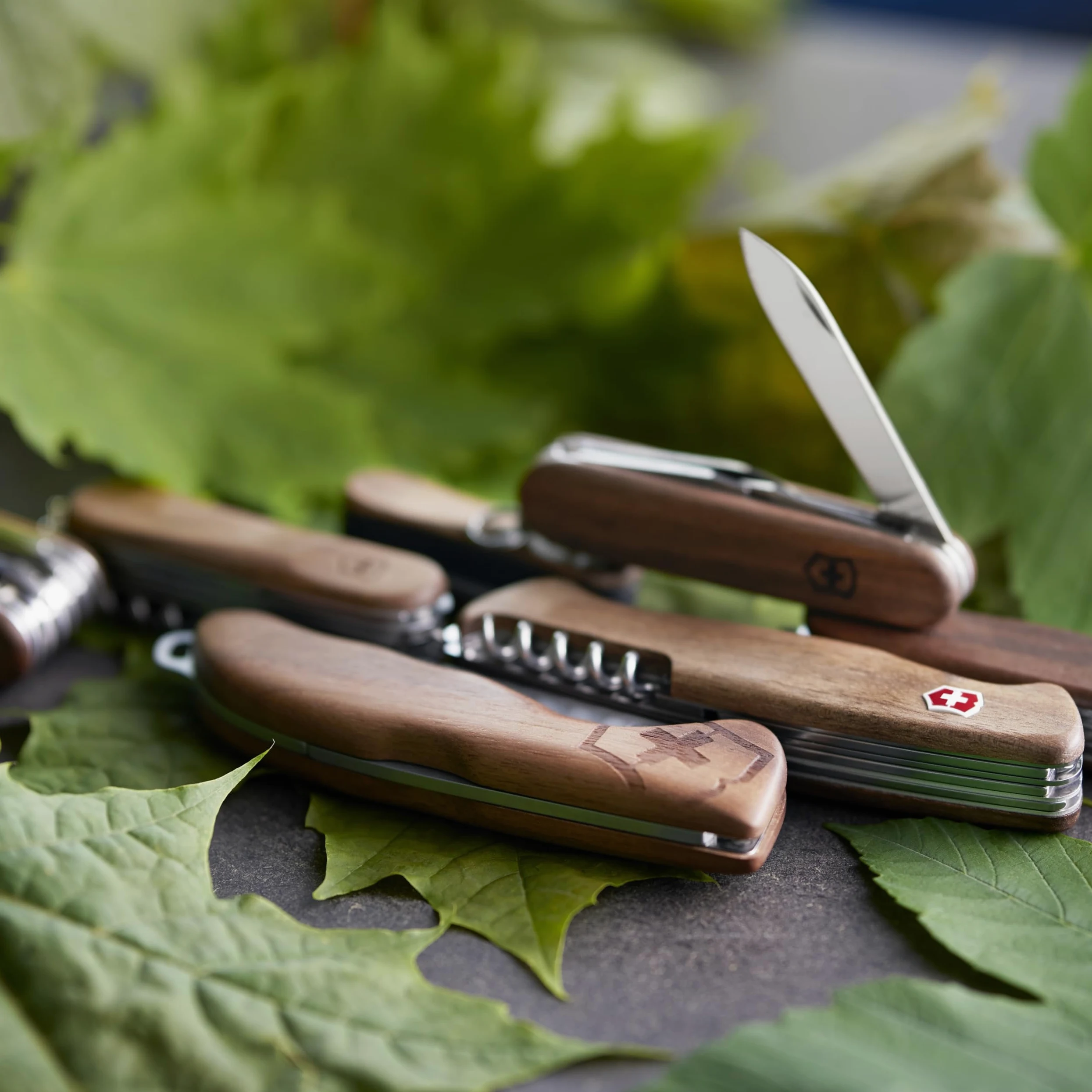 Victorinox Nail Clip 580 Wood, Navaja Multiuso Suiza, Cuchillo bolsillo, Regalo, 6 Funciones, Hoja pequeña, Lima de uñas