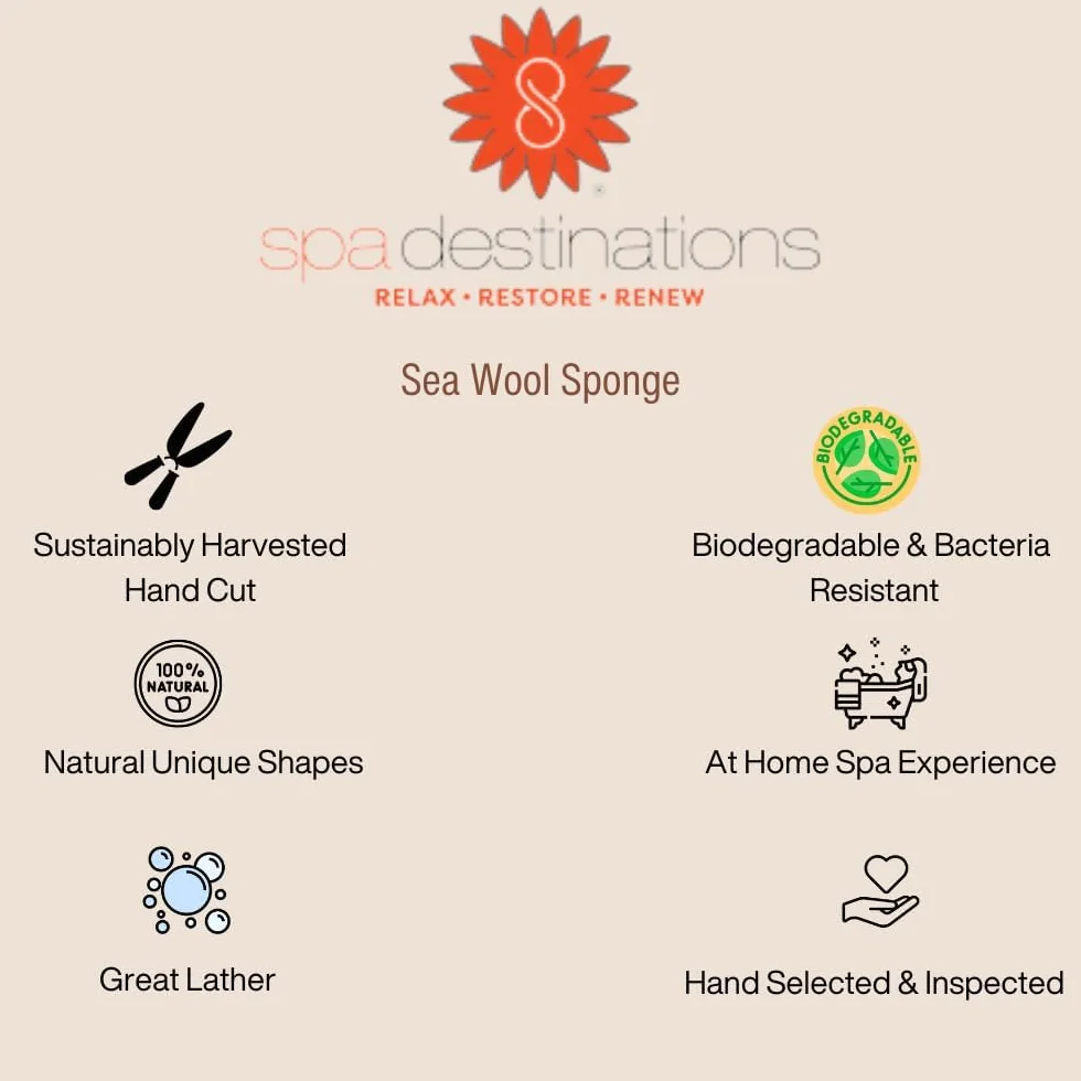 Esponja de mar 100% natural de 5 – 6 pulgadas por Spa Destinations® "Creating The in Home Spa Experience" para la perfecta experiencia de baño o ducha.