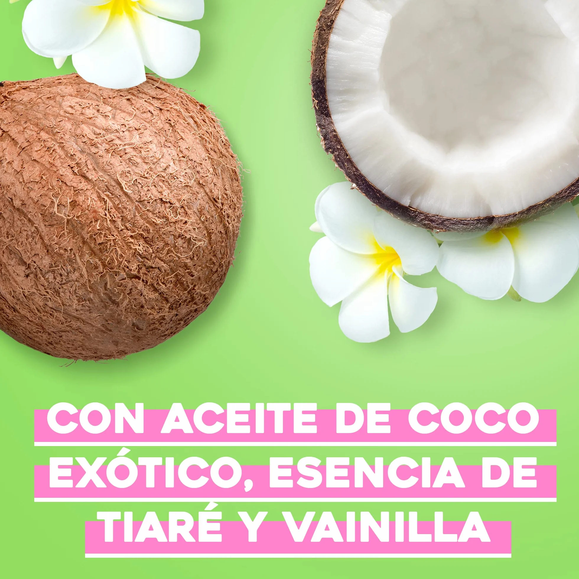 OGX Coconut Miracle Oil Hair Mask 300 ml Anti Frizz Reparadora Sin Sulfatos