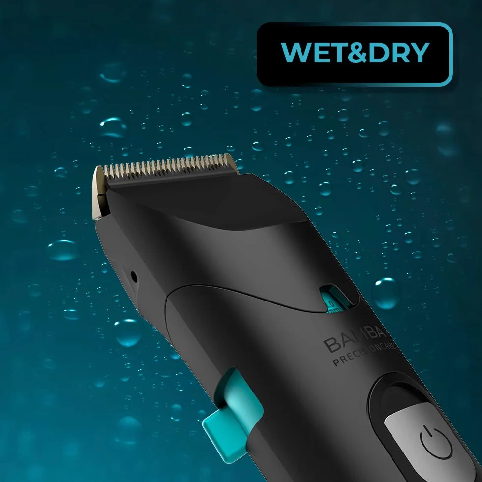 Cecotec Cortapelos Bamba PrecisionCare Wet&Dry IPX6 Acero Inoxidable Titanio 120 min Batería Litio