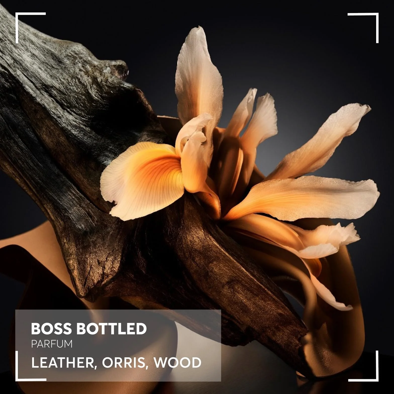 BOSS Bottled Parfum para hombres fragancia amaderada ambarina con notas de cuero y raiz de orris