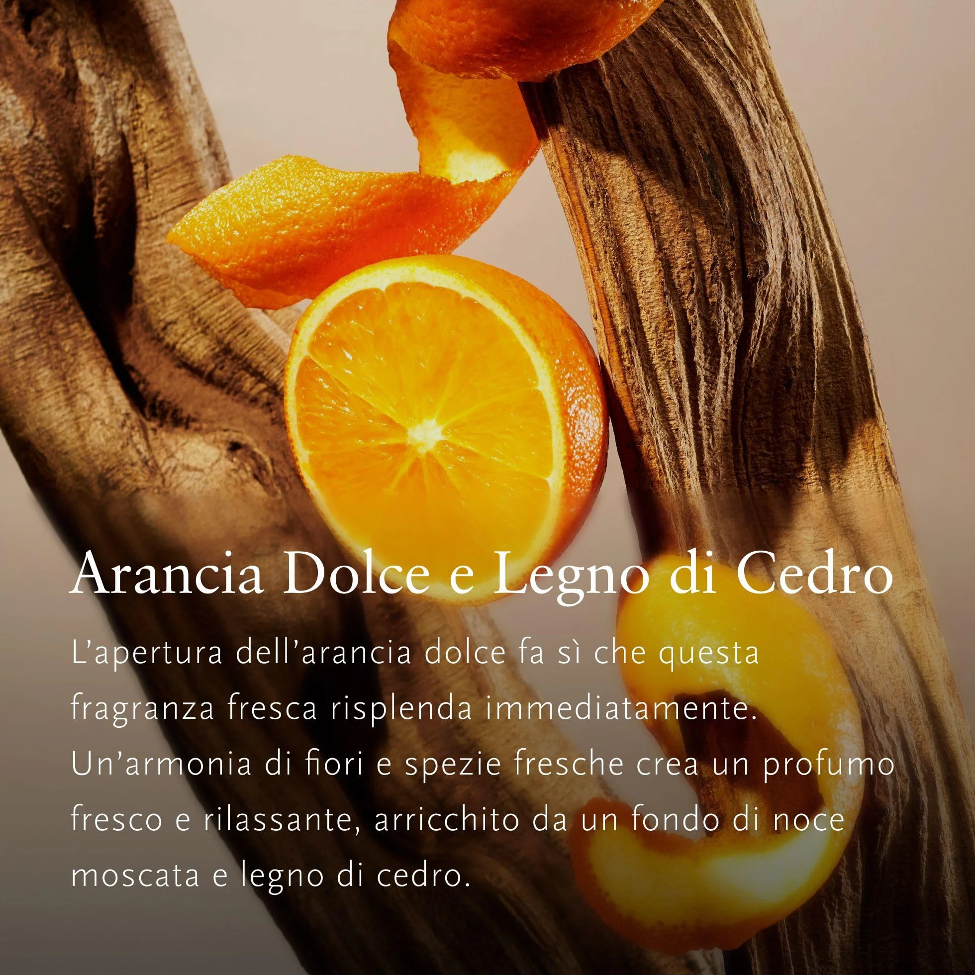 RITUALS Caja de regalo The Ritual of Mehr Small Set de baño cuidado piel hogar naranja dulce madera cedro
