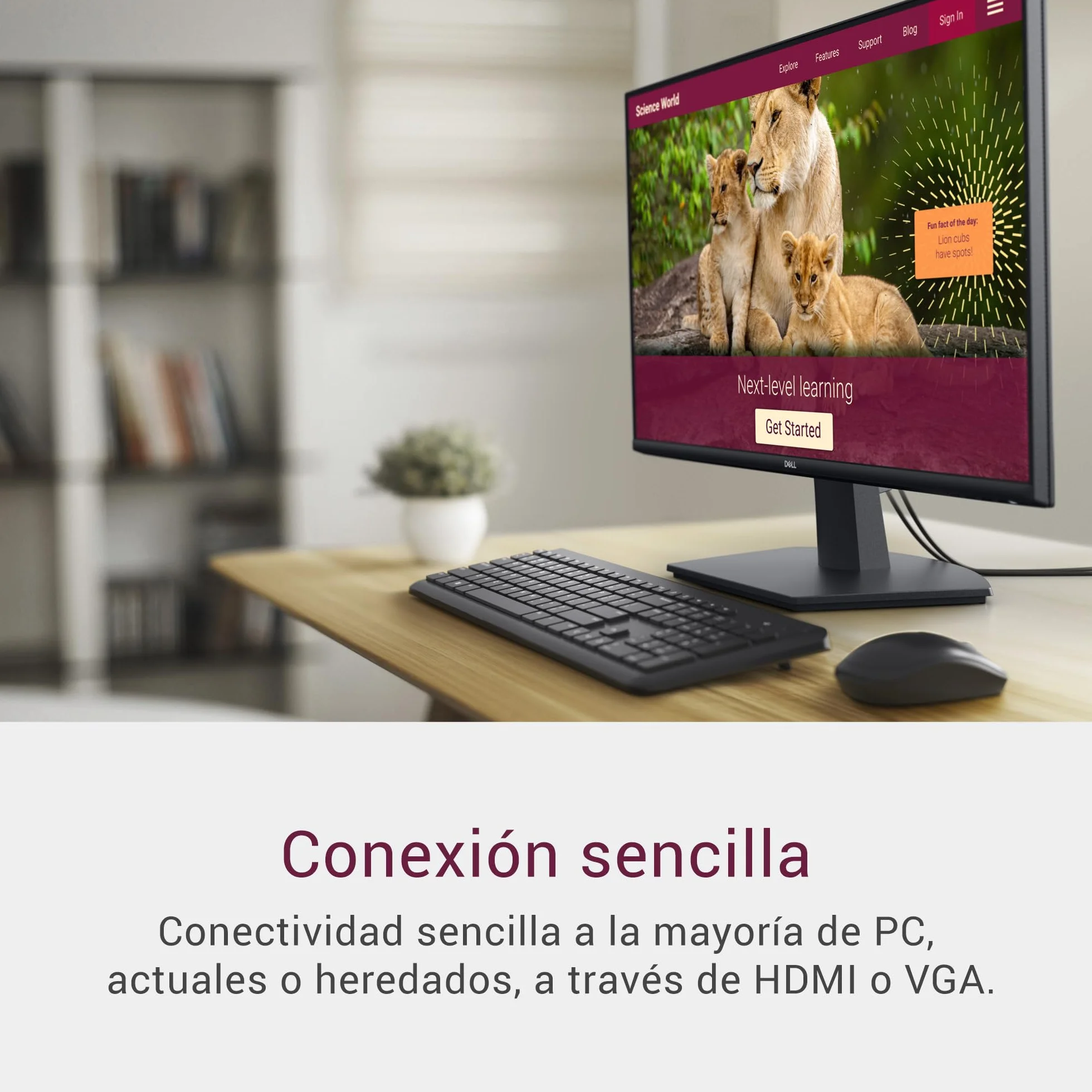 DELL SE2725HM 27 Monitor Full HD 100Hz IPS 5ms VESA HDMI VGA Negro
