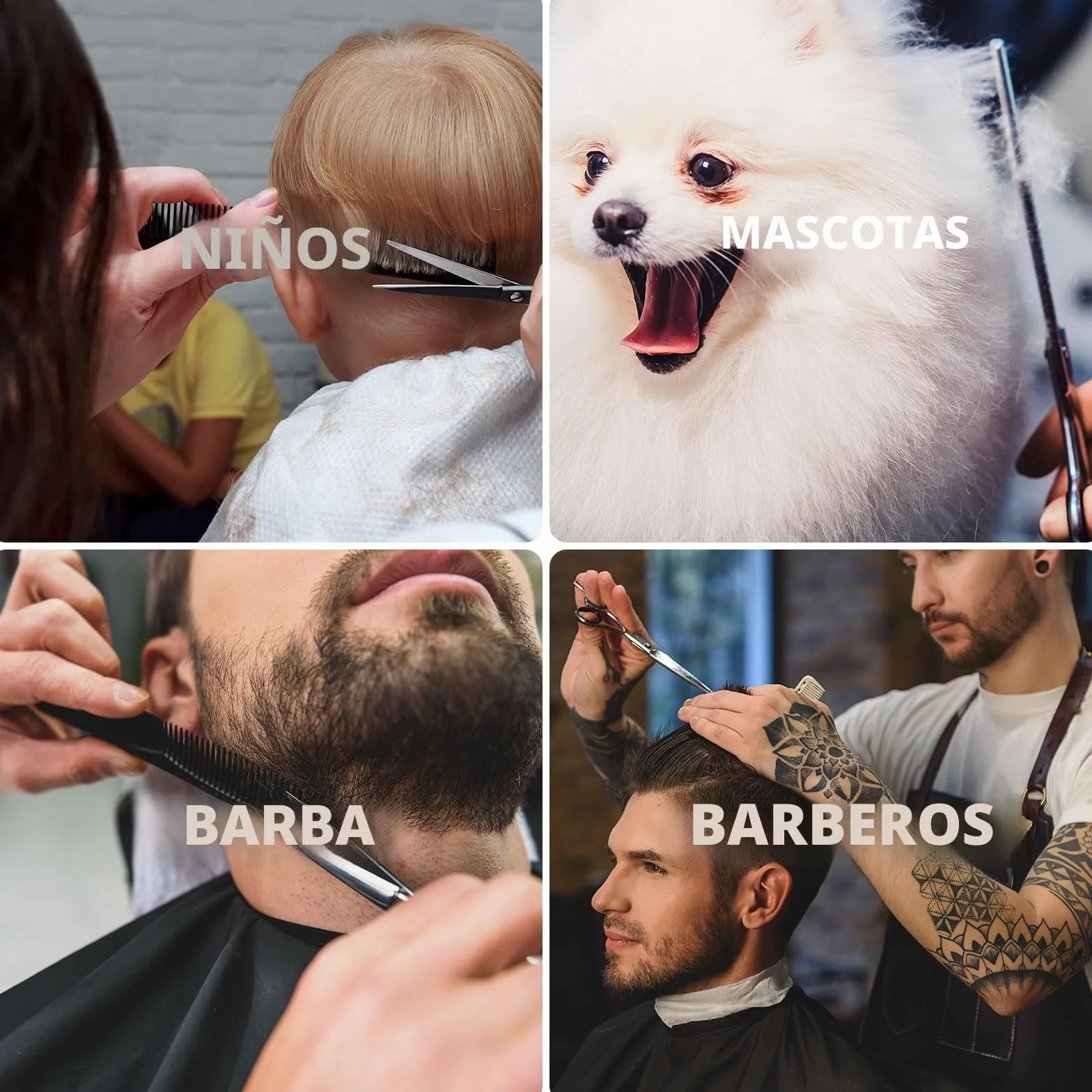 Tijeras Peluqueria Profesional 12 Set Corte de Pelo