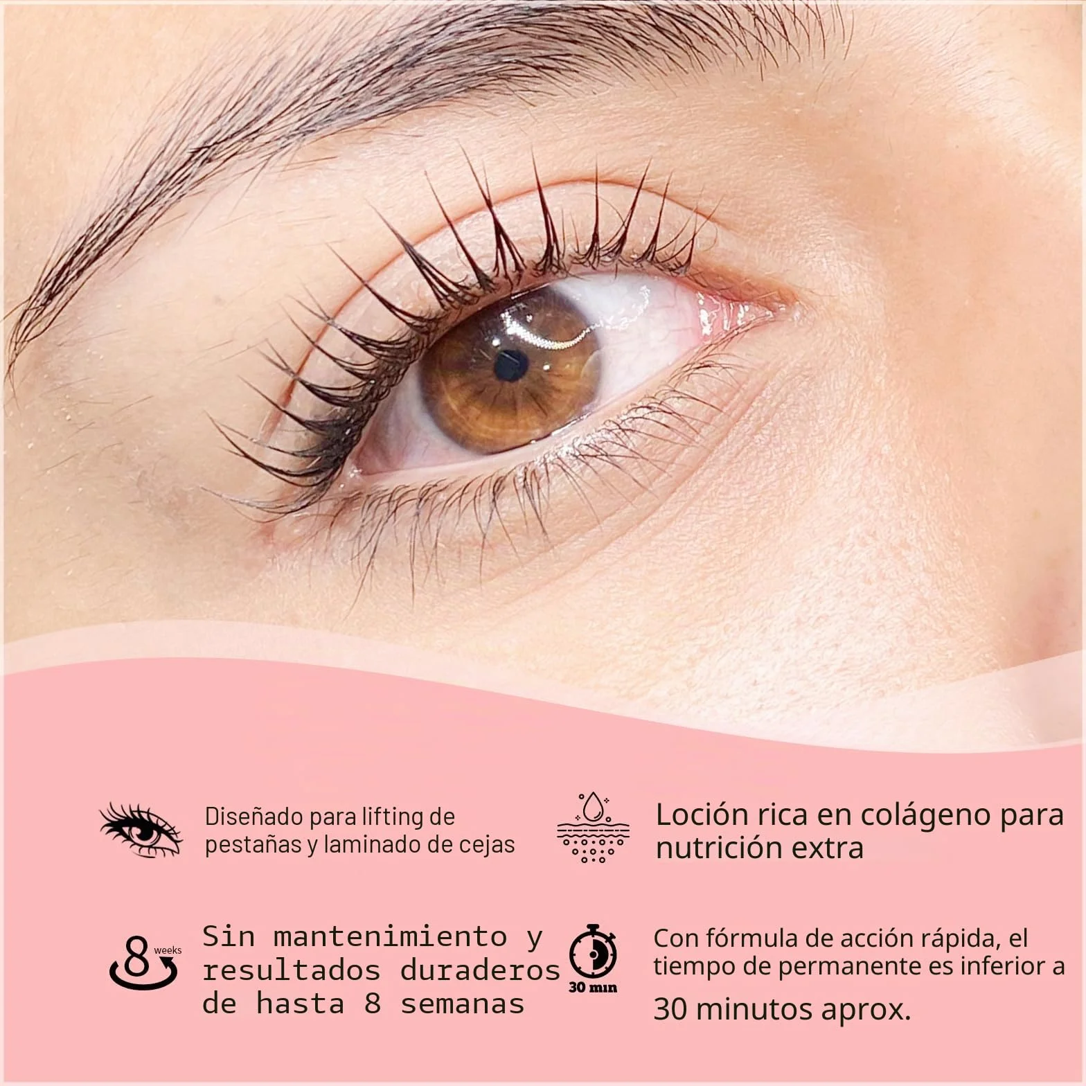 ICONSIGN Kit de elevación de pestañas, permanente de pestañas, versión de actualización