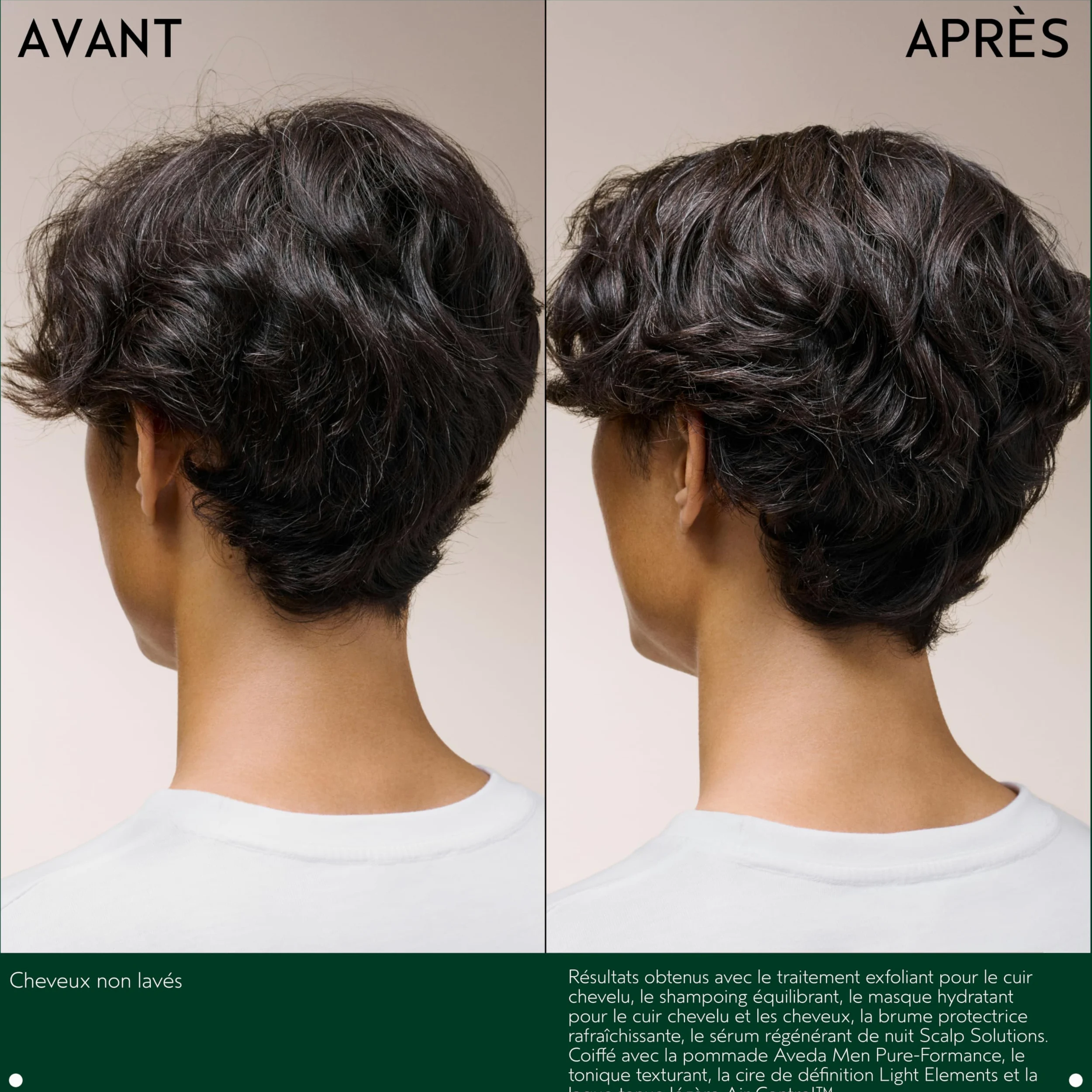Aveda Scalp Solutions Balancing Shampoo 1000ml - champú equilibrante