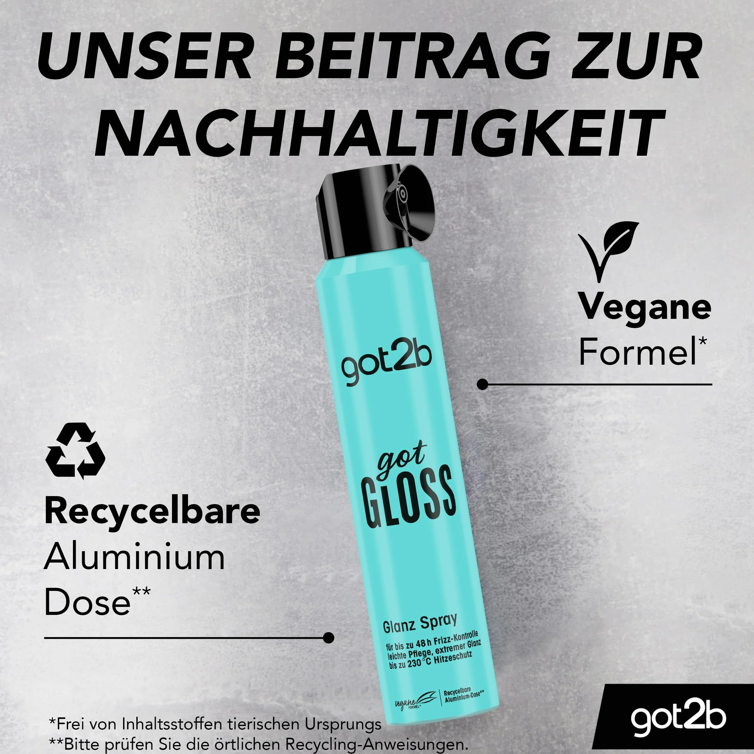 got2b gotGloss Brillo Spray 200 ml spray de brillo para el cabello 48 horas control encrespamiento protección térmica 230°C