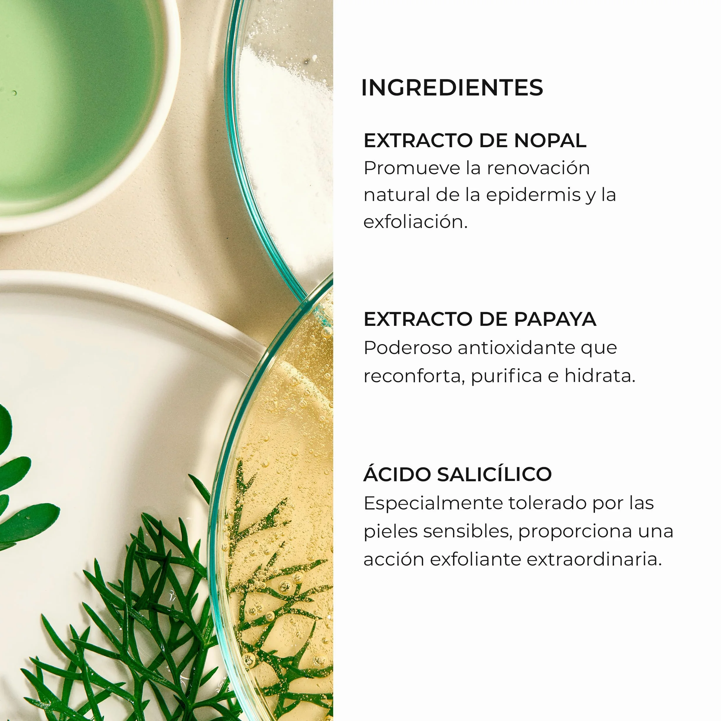Natura Bissé Tolerance Enzyme Peel | Exfoliante Facial Enzimático para Pieles Sensibles con Ácido Salicílico, Ácido Láctico y Extractos de Nopal y Papaya | 50 ml