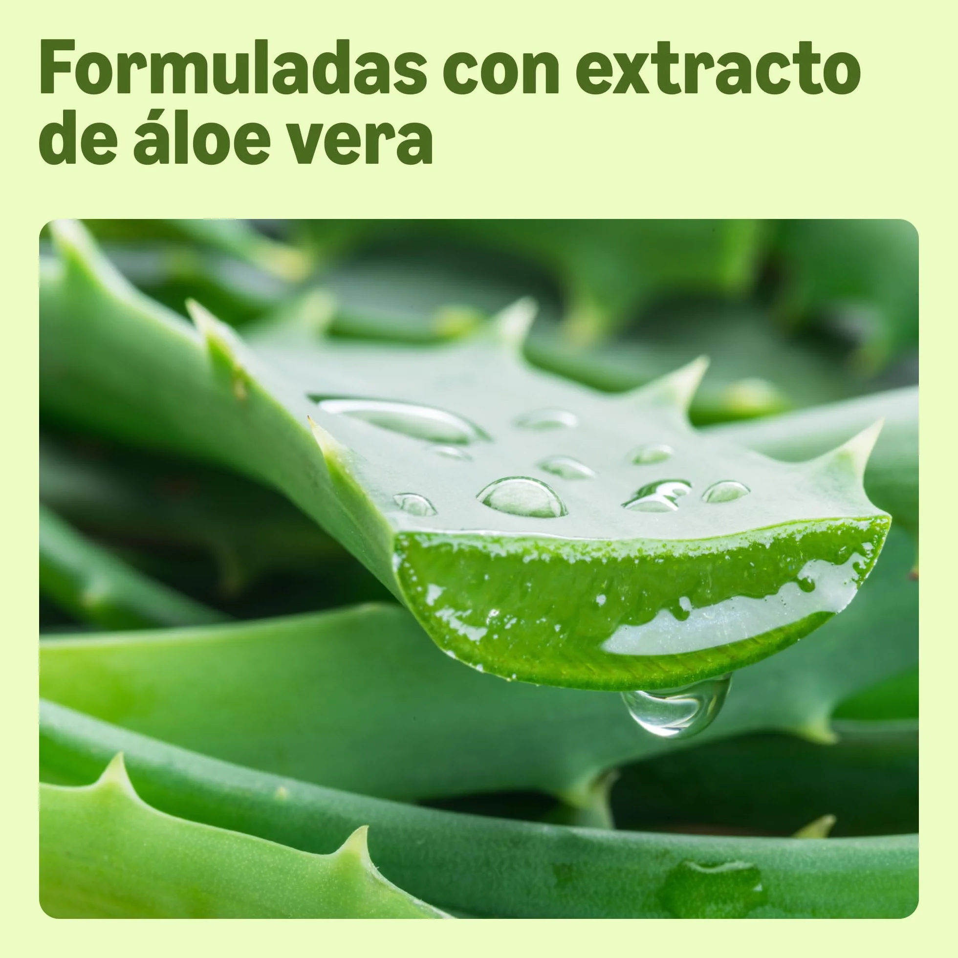 Amazon Toallitas de limpieza facial con aloe vera, 25 toallitas sin fragancia