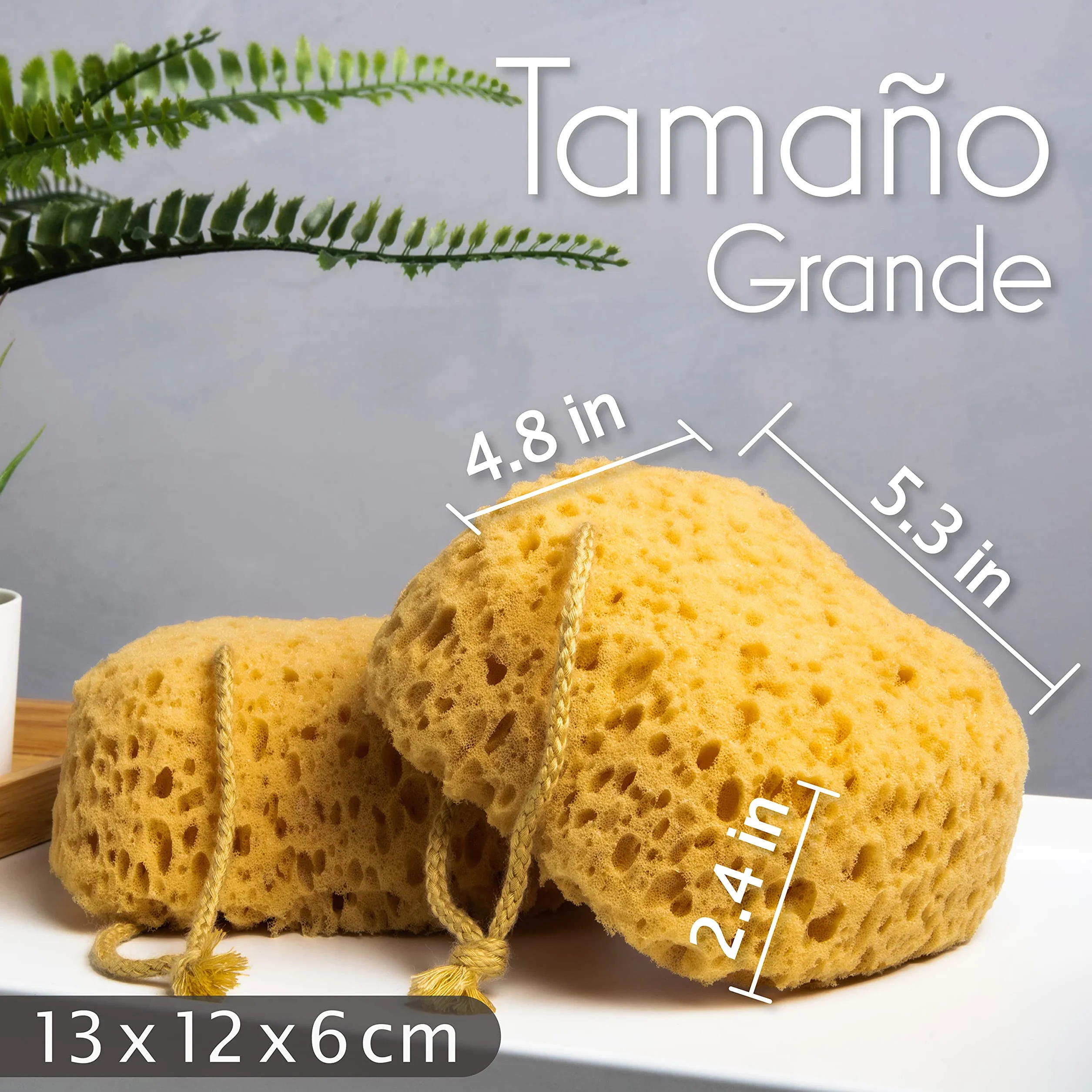 myHomeBody Esponja de baño lufa espuma grande curva paquete de 3