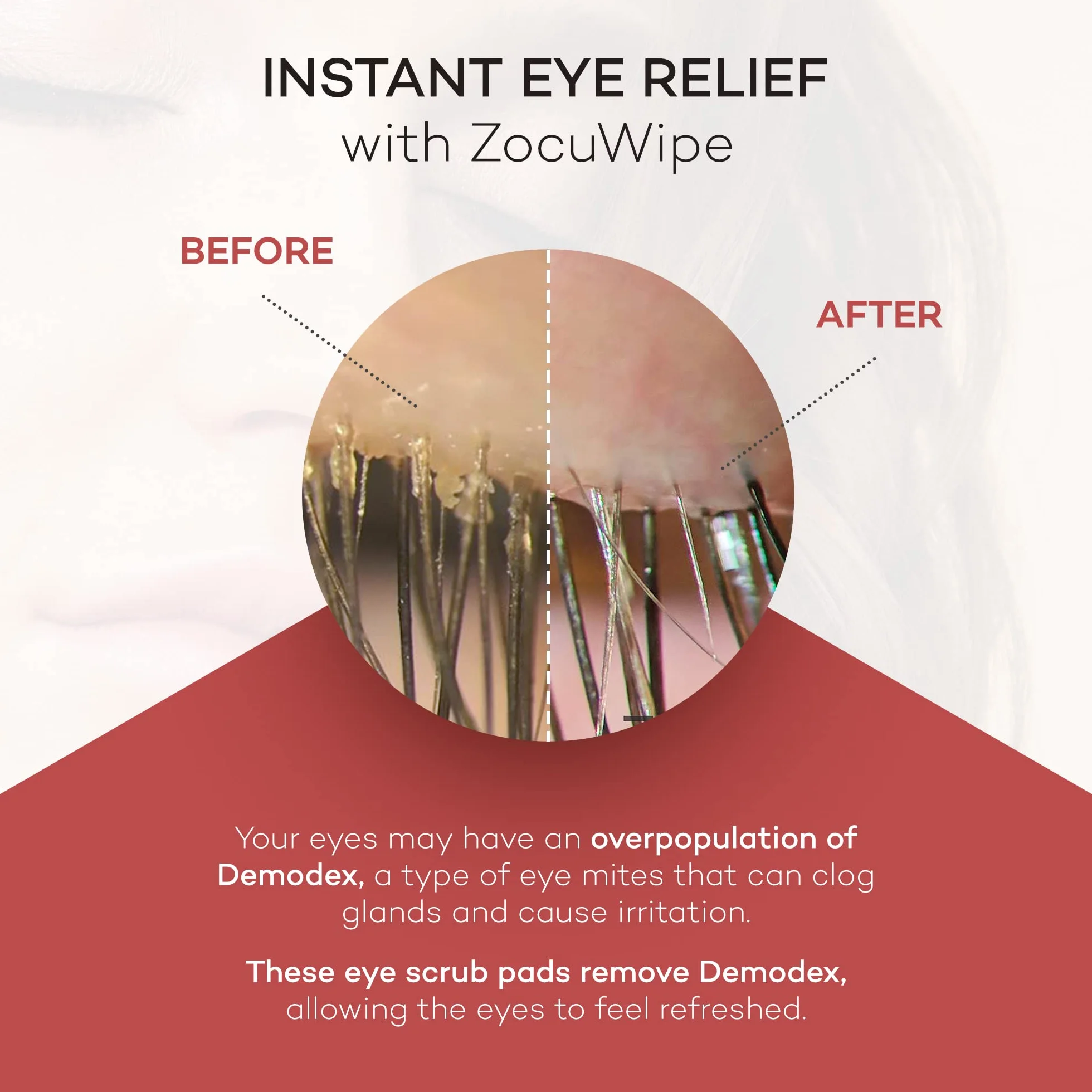 Zocular ZocuWipe - Toallitas limpiadoras de párpados con complejo de okra natural, limpiador diario suave de párpados y almohadillas hidratantes, desmaquillante y toallitas higiénicas para los ojos