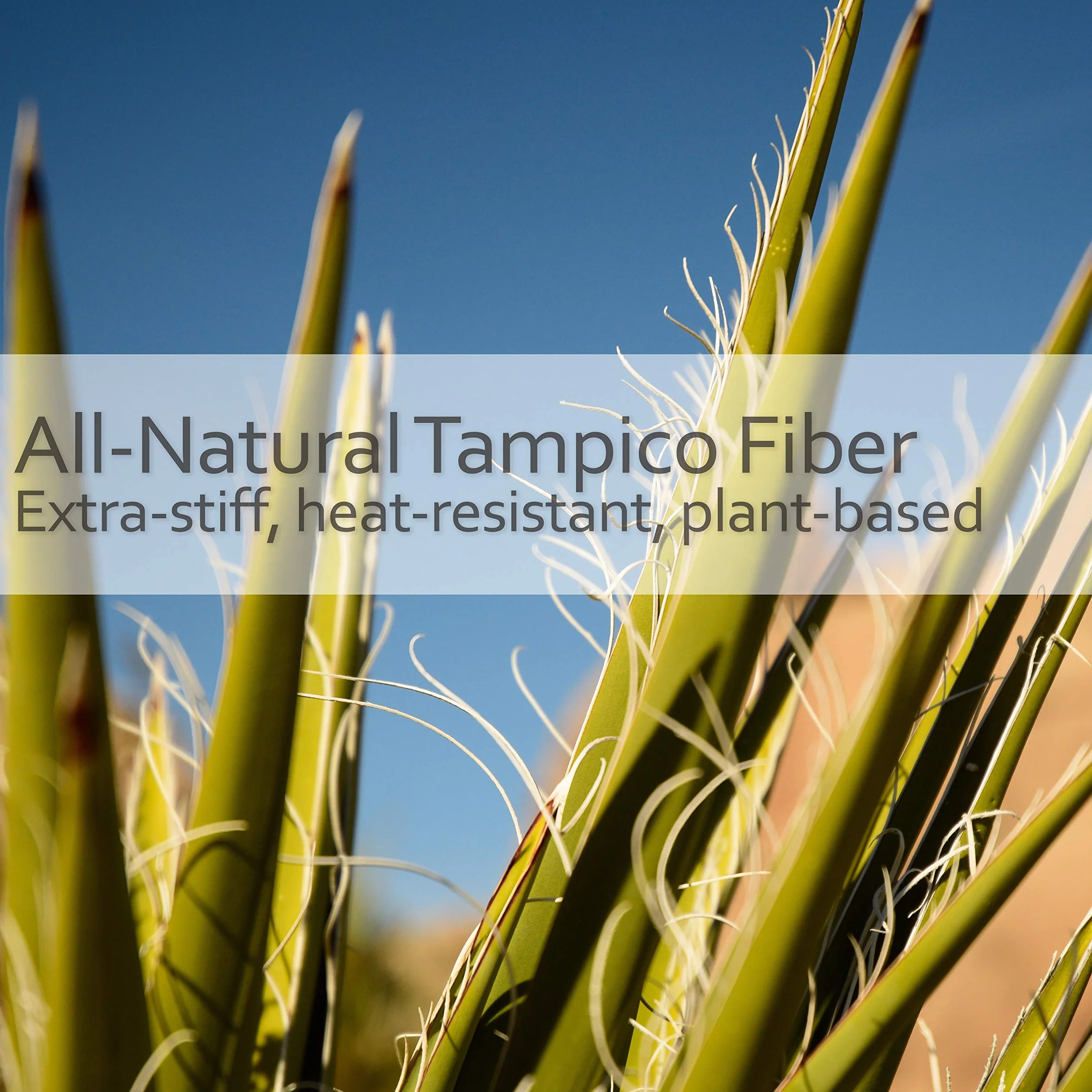REDECKER Tampico - Cepillo de baño de fibra con mango de madera de haya aceitada, 19-5/8 pulgadas, mango largo para ducha, cepillo corporal con pelo de caballo natural, fabricado en Alemania