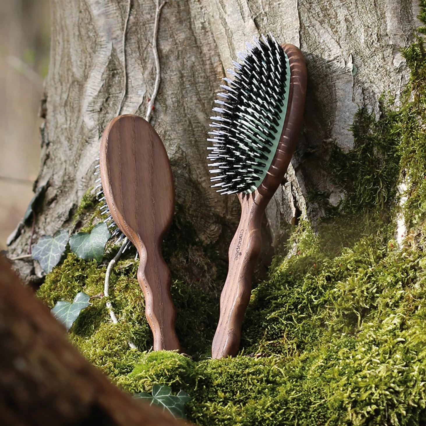 SOFÁ | Cepillo de pelo neumático desenredante | Cepillo de cuidado | Cuidado, liso y brillante | Cerdas 100% puro jabalí y puntas de nylon | Resistente al agua | Cabello grueso | Fabricación francesa