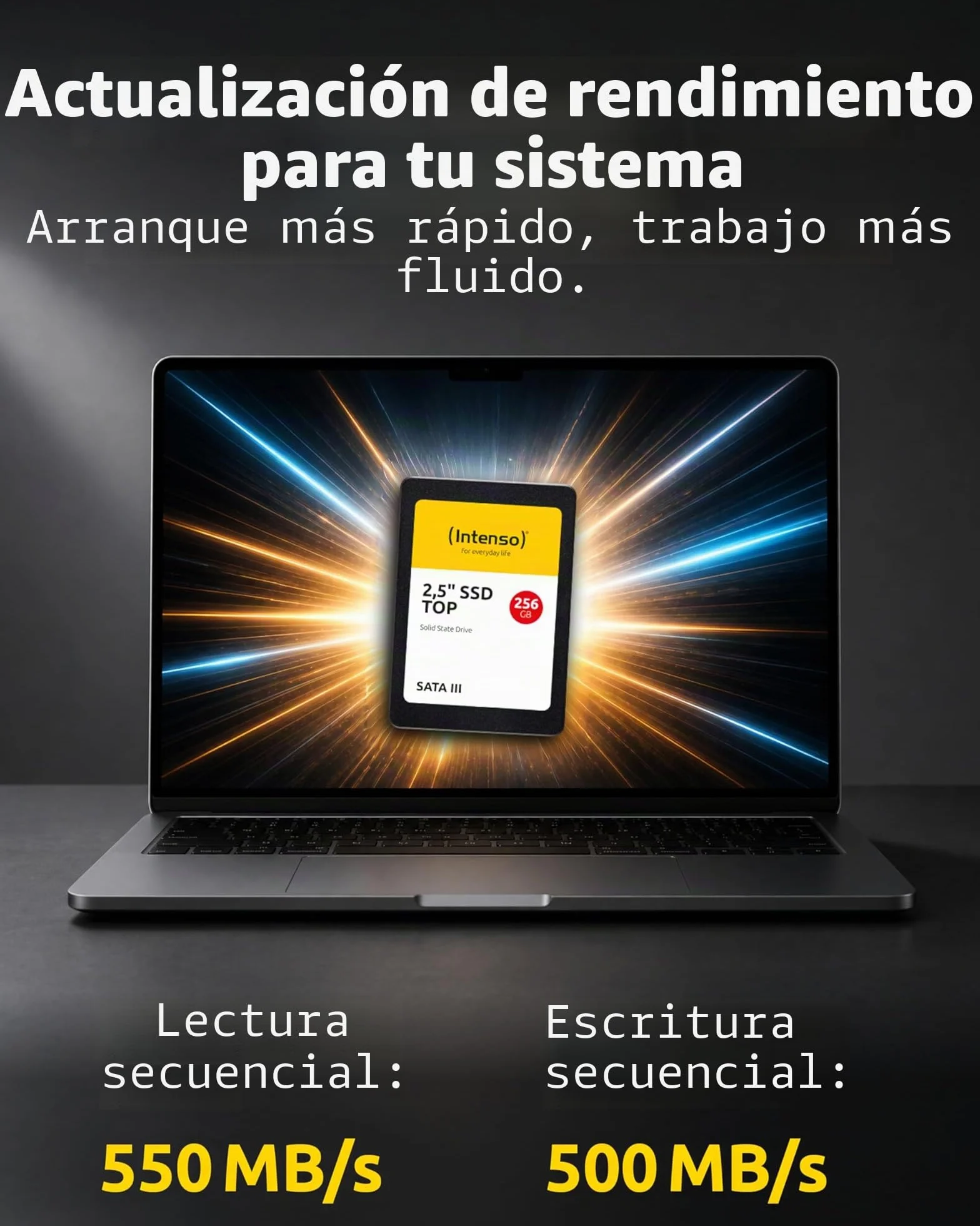 Intenso 2.5 Inch SSD SATA III 256 GB Unidad de estado sólido