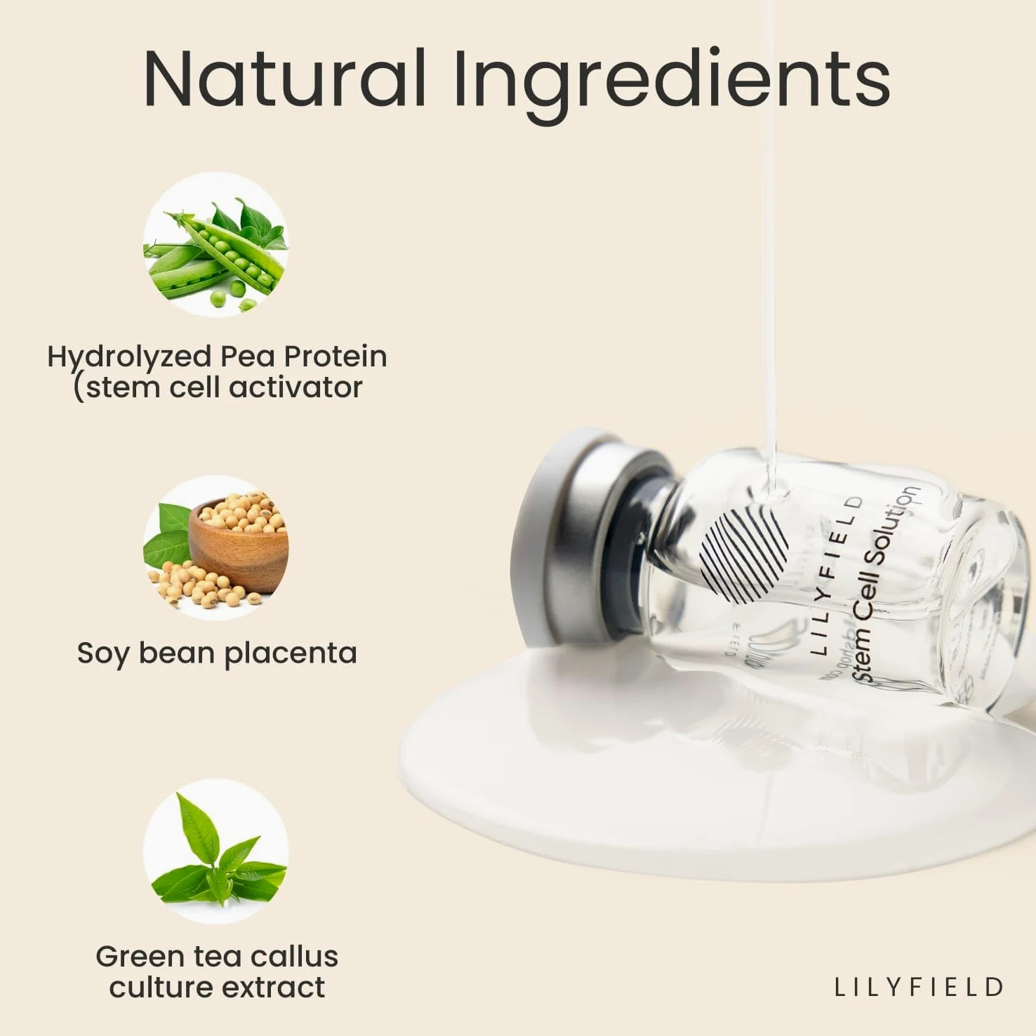 LILYFIELD Solución de células madre, ampollas de suero de ácido hialurónico antienvejecimiento avanzadas, hidratando la piel, suaviza las líneas finas, reduce las arrugas y los signos de