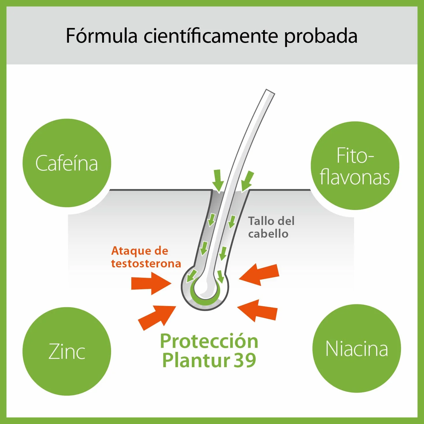 Plantur 39 Tónico fito-cafeína 200 ml antiedad cabello menopáusica