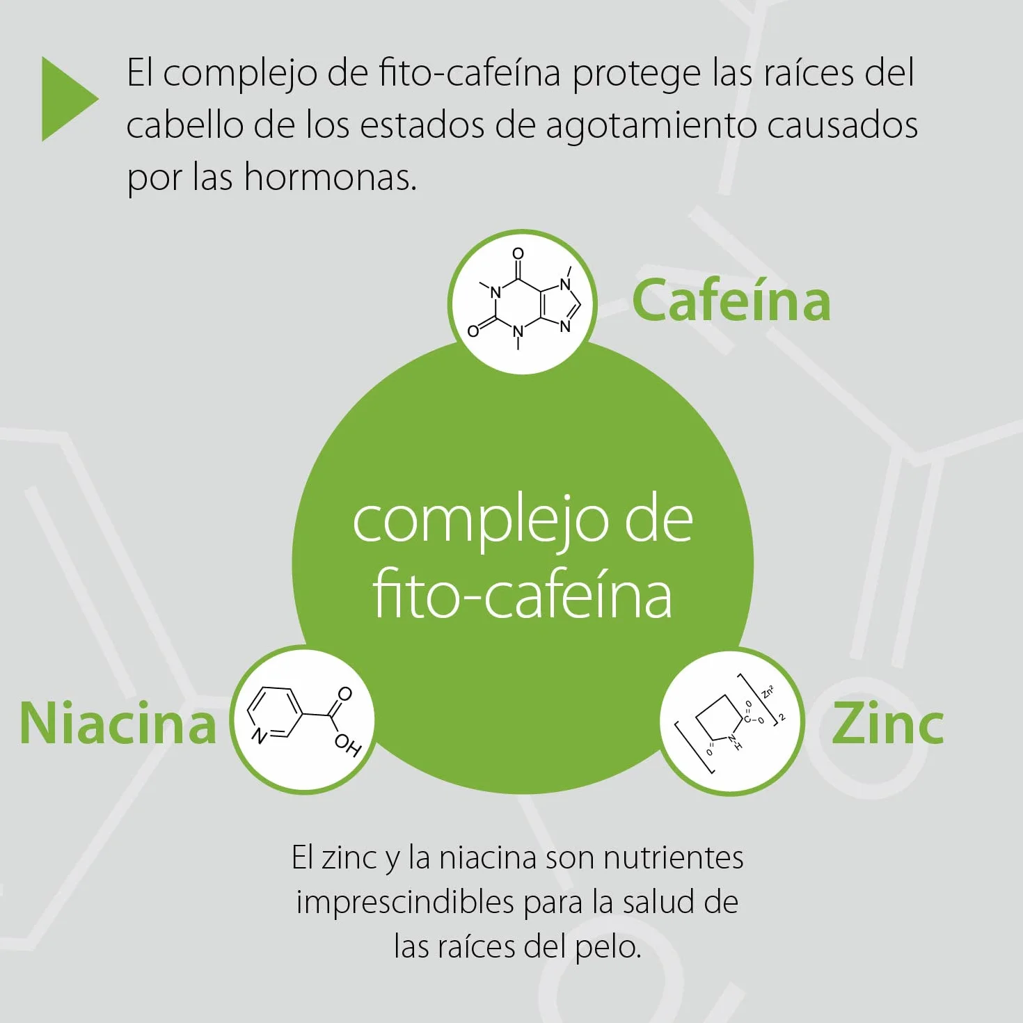 Plantur 39 Tónico fito-cafeína 200 ml antiedad cabello menopáusica